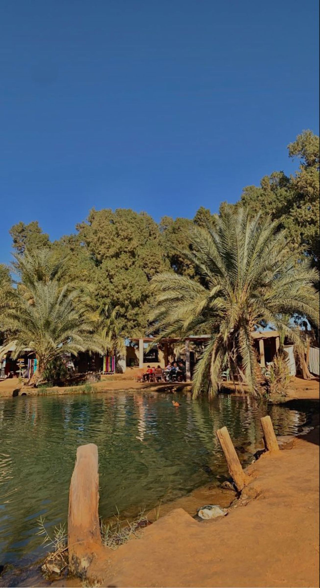 Djerba Ksar Ghilane & Tataouine Full-Day Desert Tour