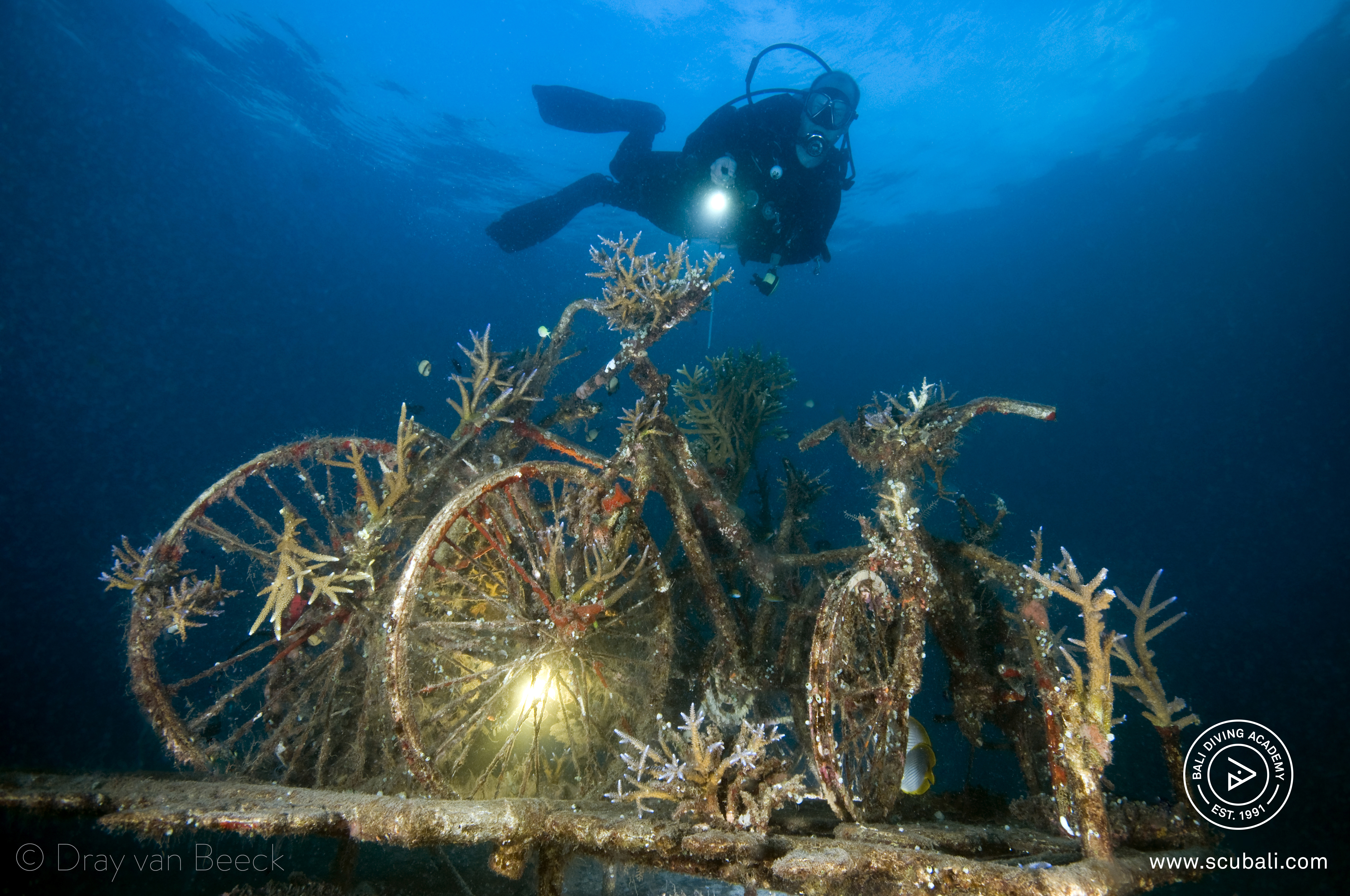 峇里島的潛水精通：PADI 5* 中心的高級開放水域課程