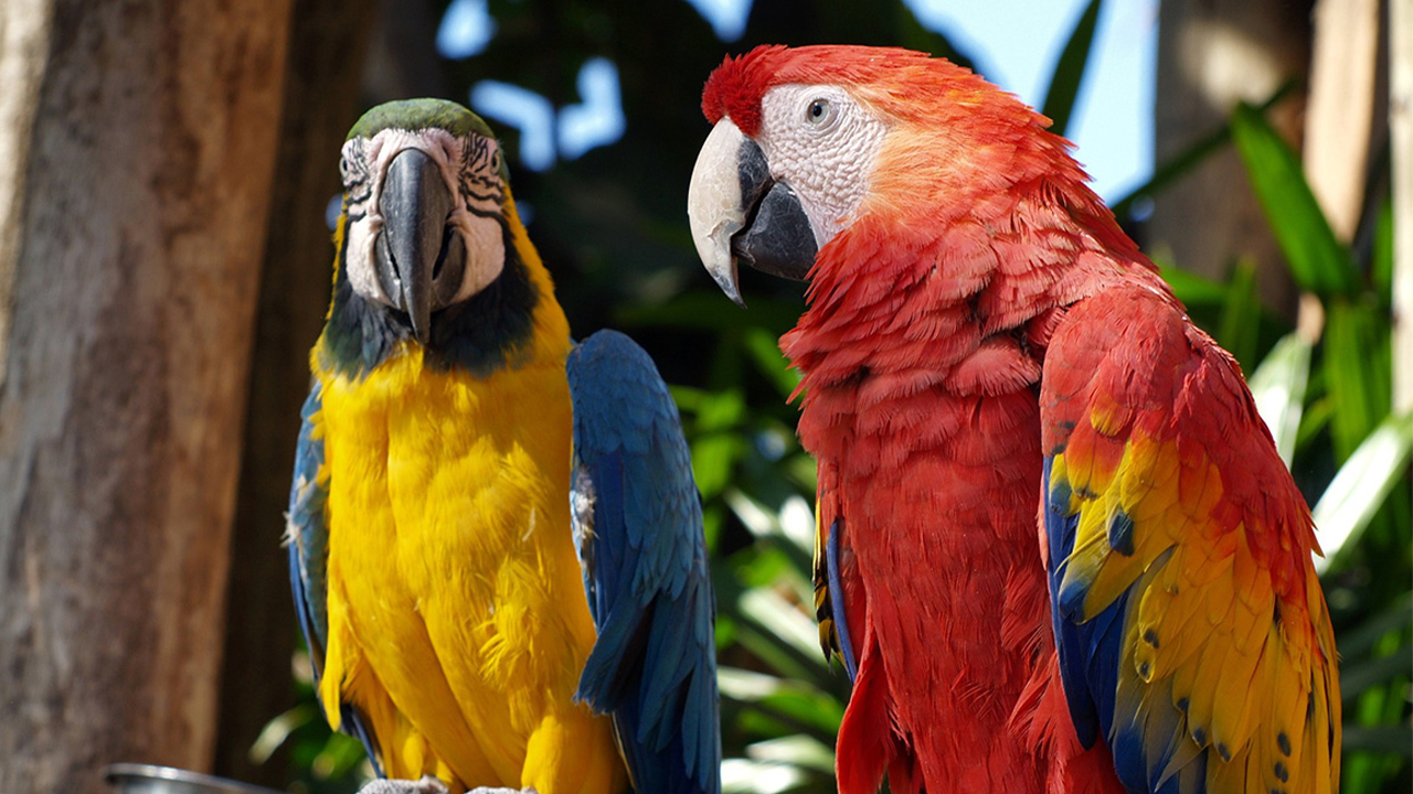 與動物相處的每一刻，都能讓您感受大自然的療癒力量，身心靈煥然一新。