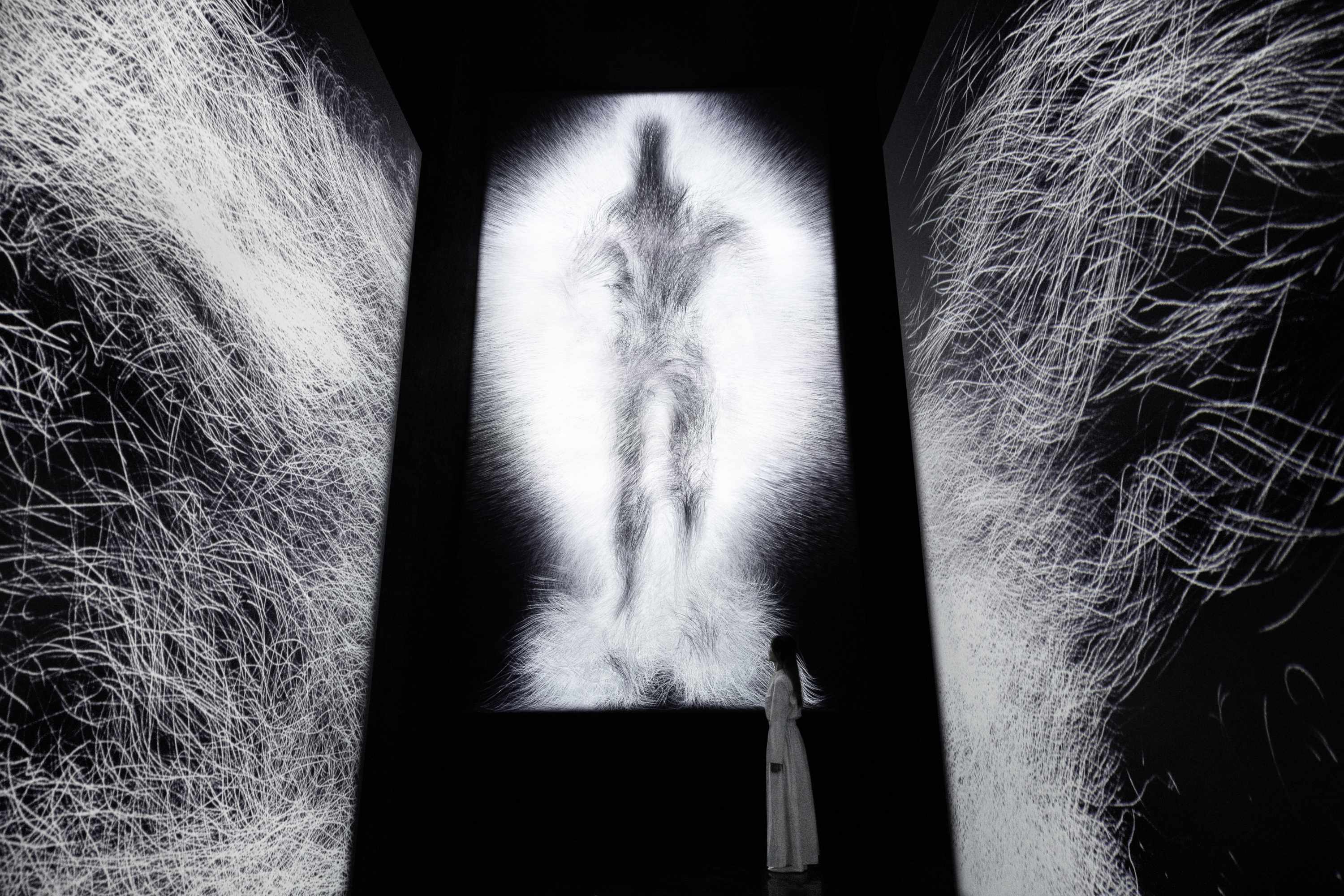 Dissipative Figures – Human、Light in Dark 和 1000 Birds 的完整裝置圖，Light in Dark_圖片版權歸 teamLab 所有