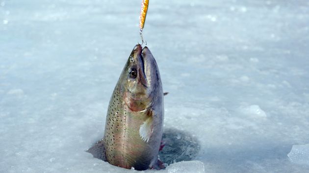 這裡提供適合所有年齡層的雪地活動，是家庭、情侶和朋友一同創造特別冬季回憶的絕佳地點。