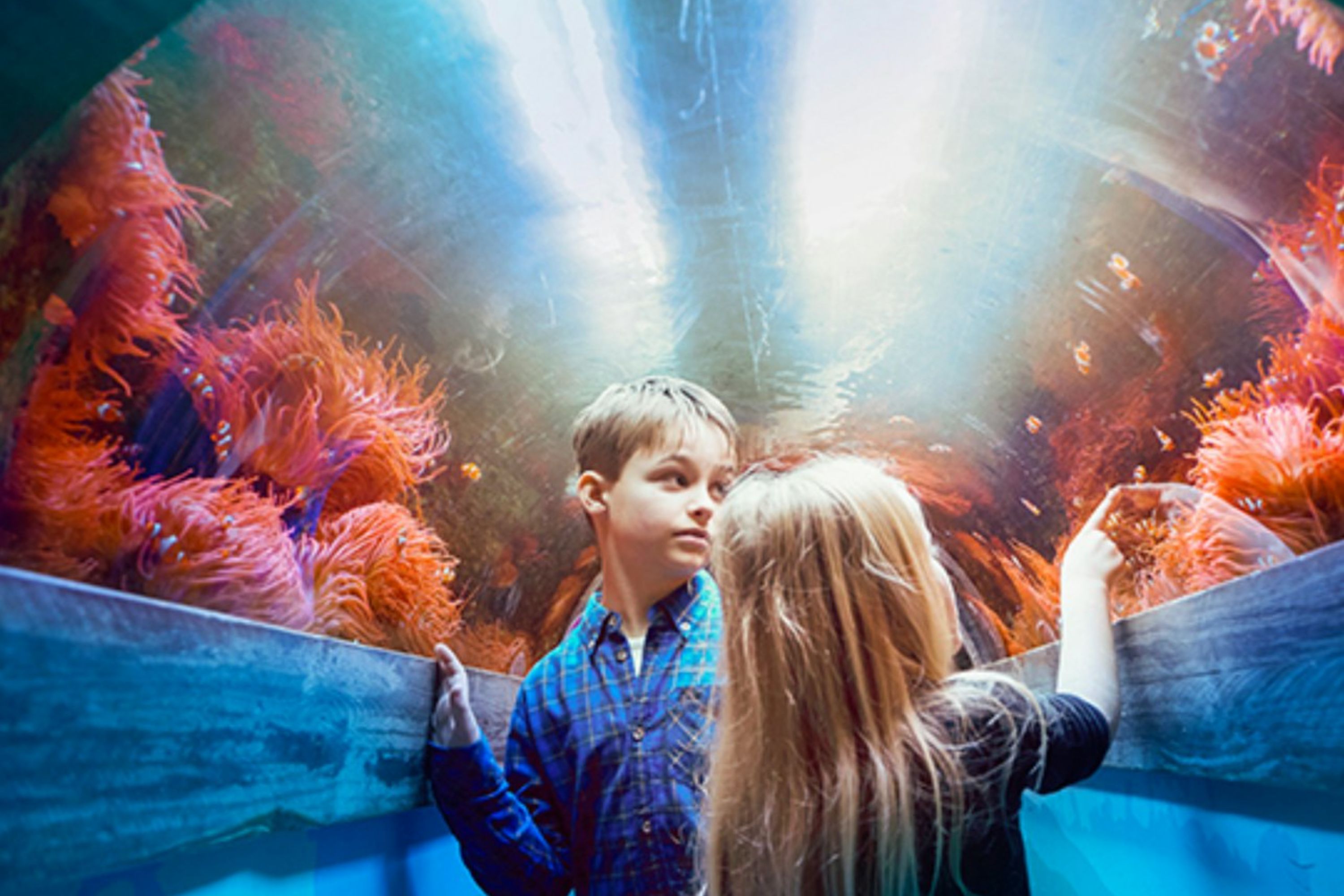 布萊頓海洋生物館 (SEA LIFE Brighton) 門票