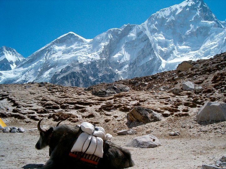 Trekking in Nepal