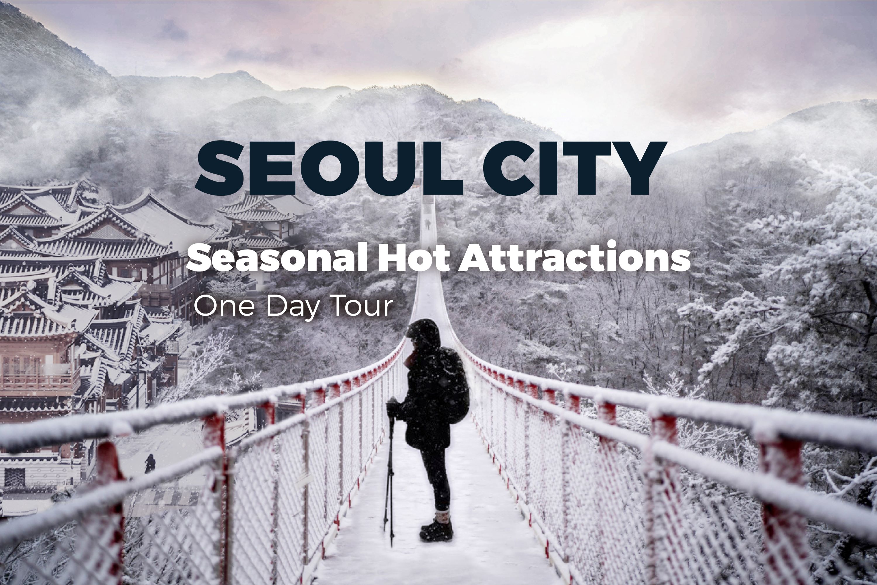Seoul City &amp; Seasonal Hot Attractions One Day Tour