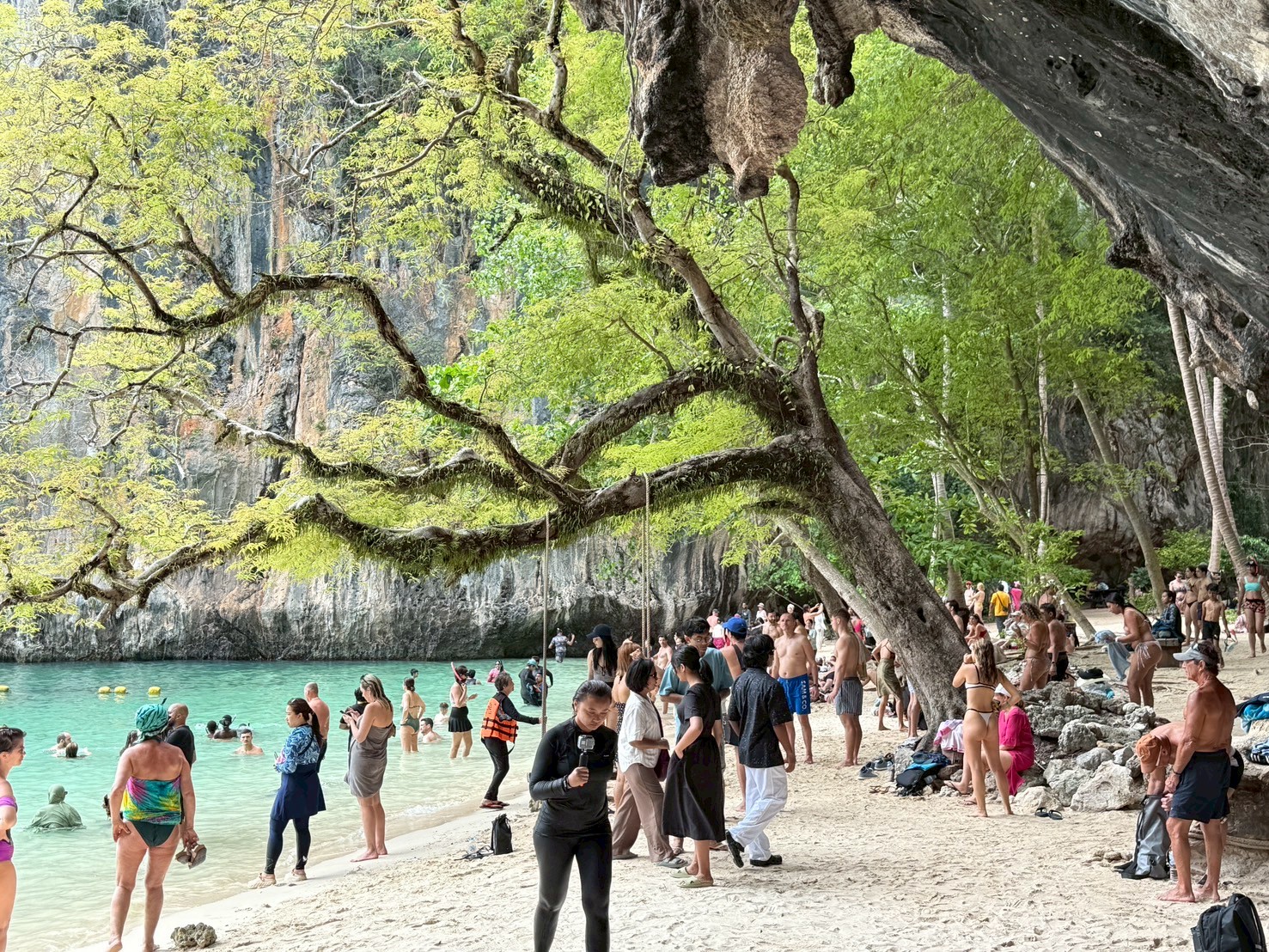 從甲米出發：宏島浮潛之旅（快艇，可選皮划艇）