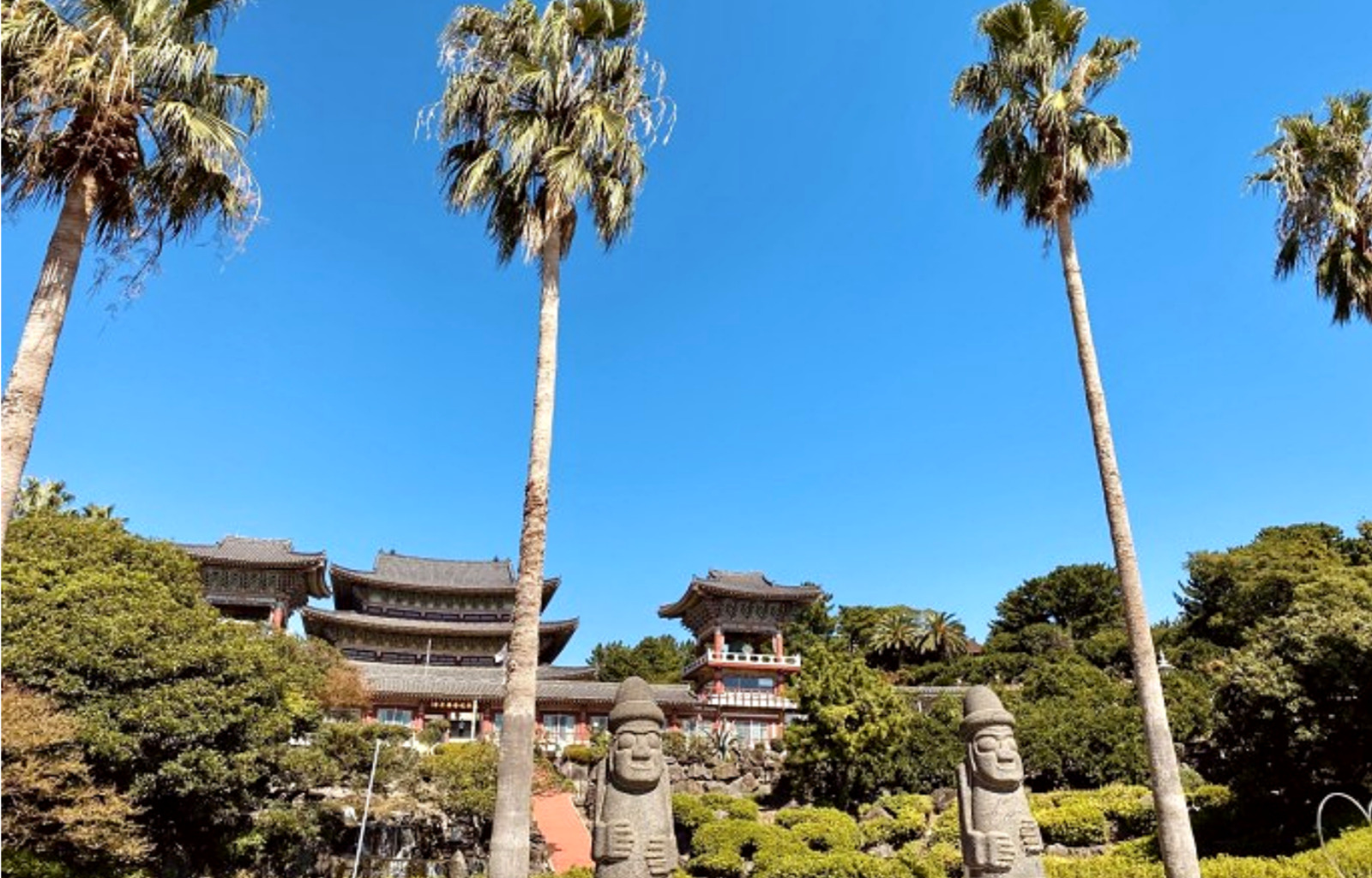 濟州島南部地區私人一日遊
