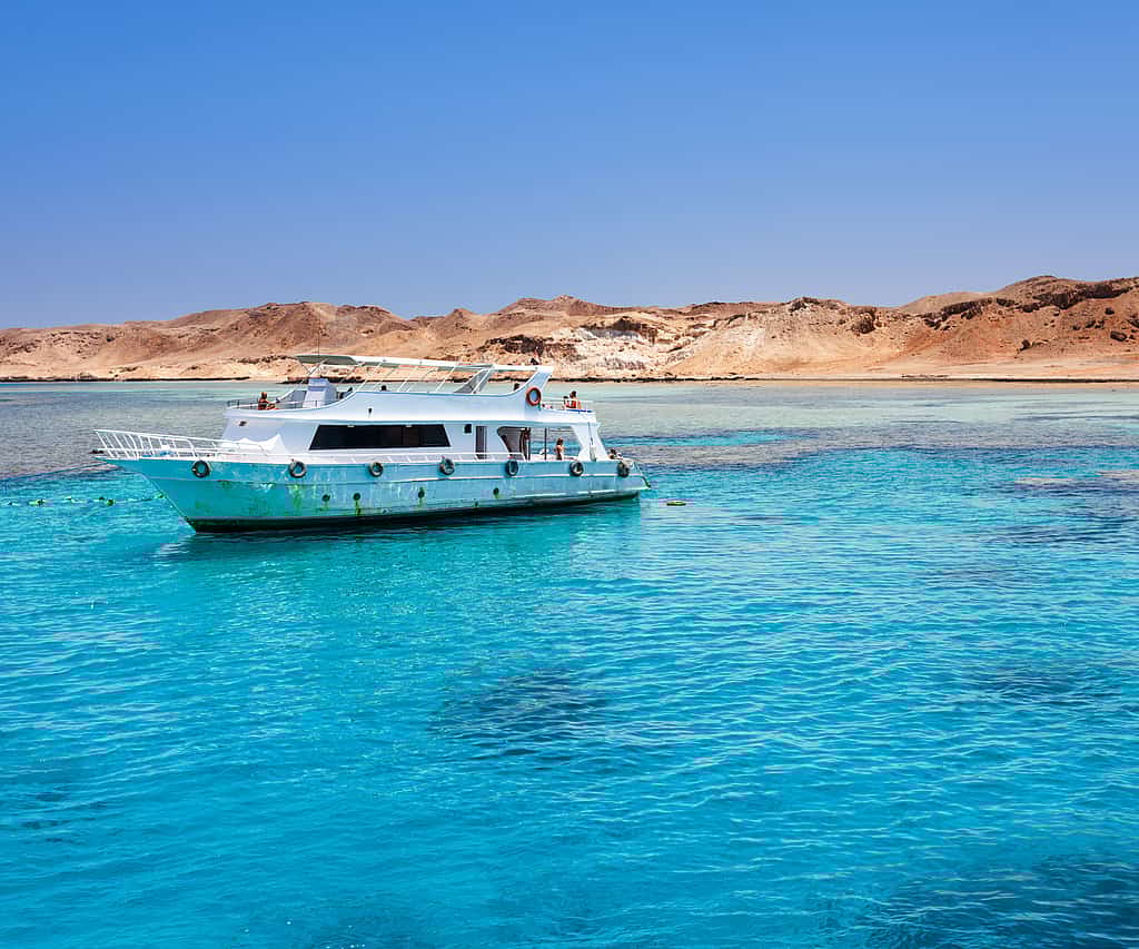 Tiran Island Snorkeling Boat Adventure W/Transfer – Sharm El Sheikh
