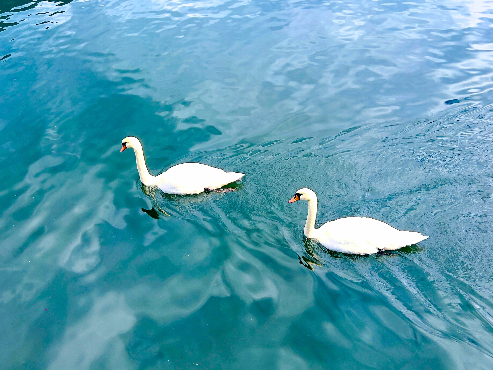 Melk Abbey, Hallstatt & Salzburg Day Trip with Traunsee