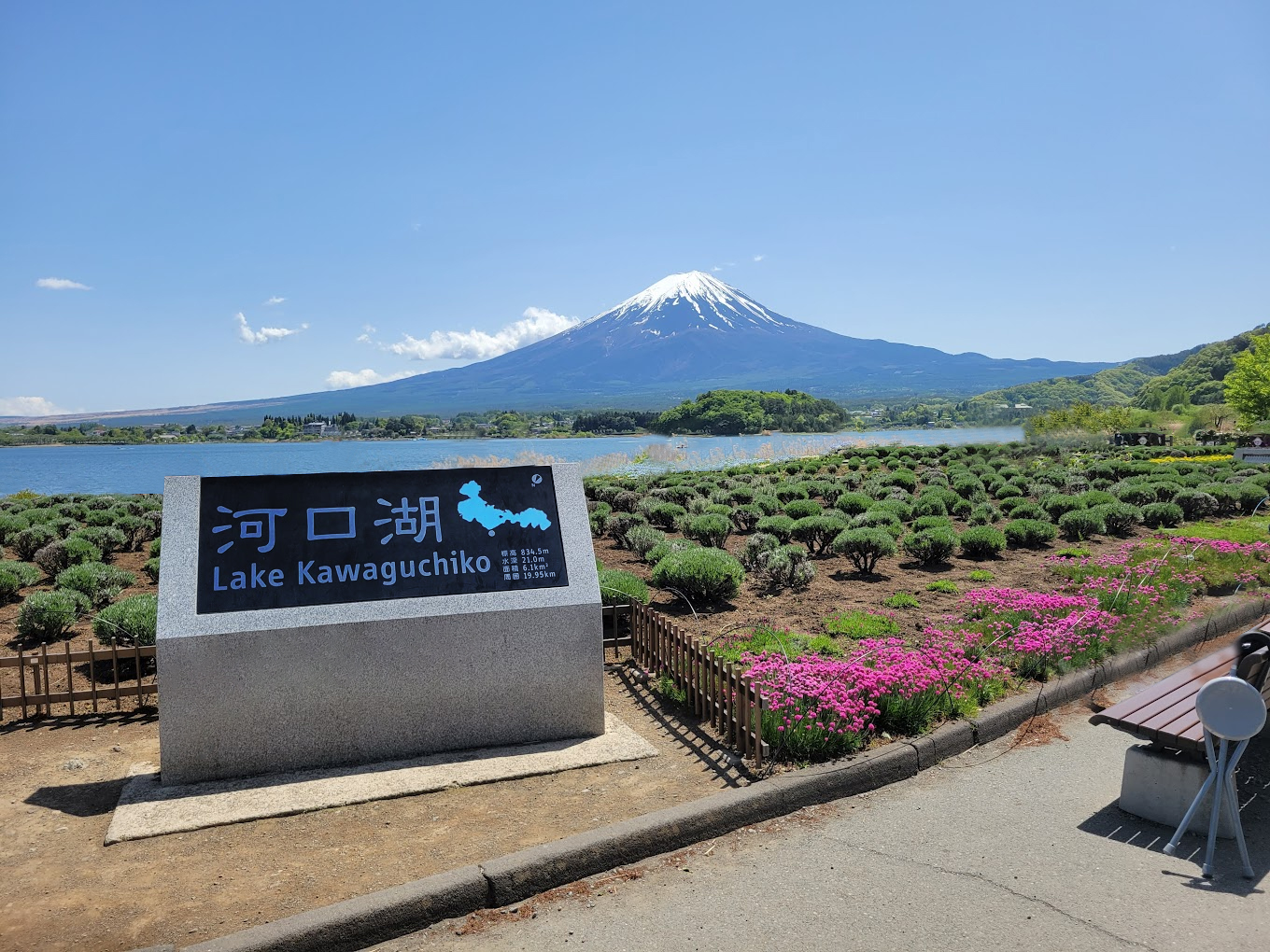 【富士山名勝景點探秘一日遊】西湖療愈之里根場&新倉山公園&河口湖大石公園&忍野八海（東京出發)