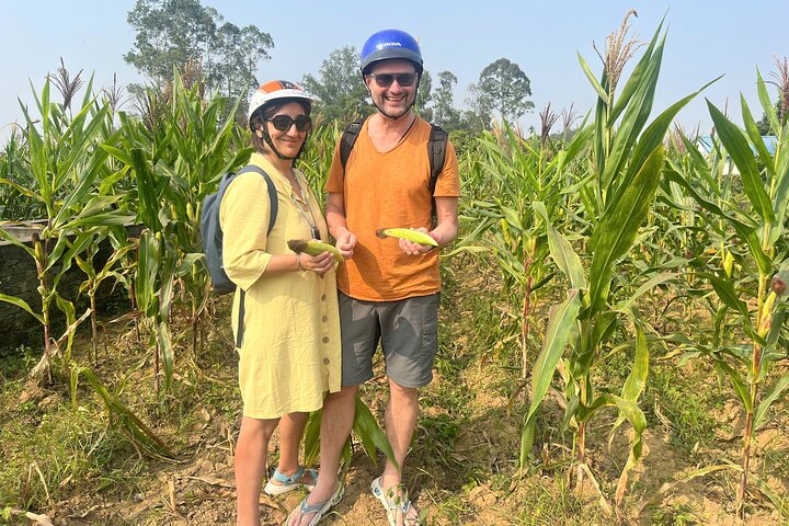 在這裡，您可以探索古老的越南村莊的建築和藝術，並在寧靜的鄉村中放鬆身心，暫時拋開忙碌的日常生活。