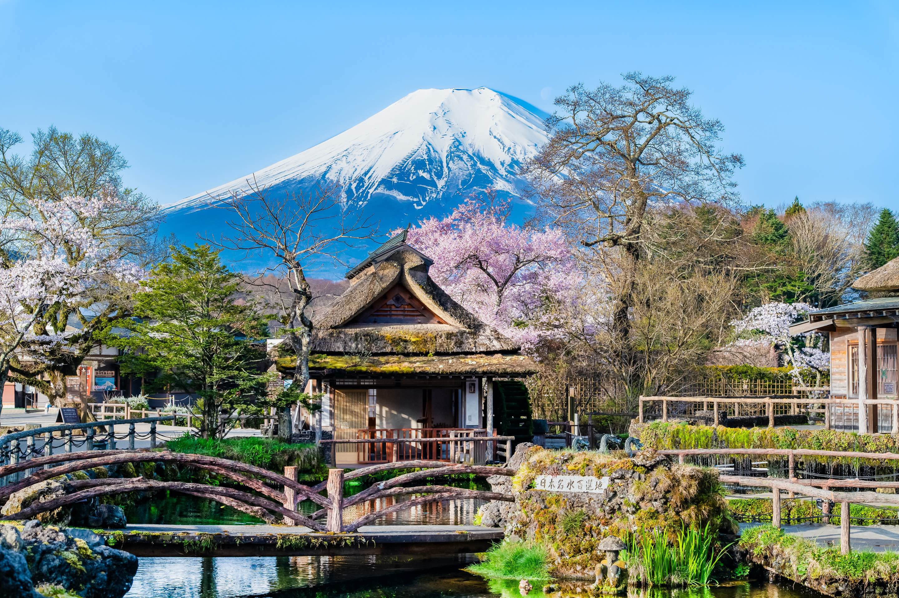 富士山一日遊: 新倉山淺間公園 & 忍野八海 & 西湖溫柔之鄉根場 (東京出發)