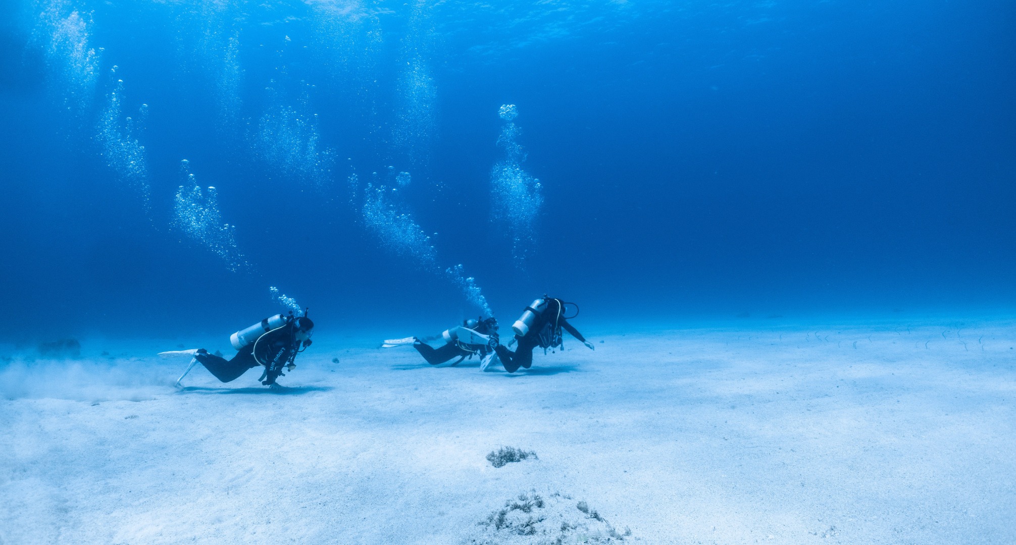 小琉球琉潛 - PADI開放水域潛水課程