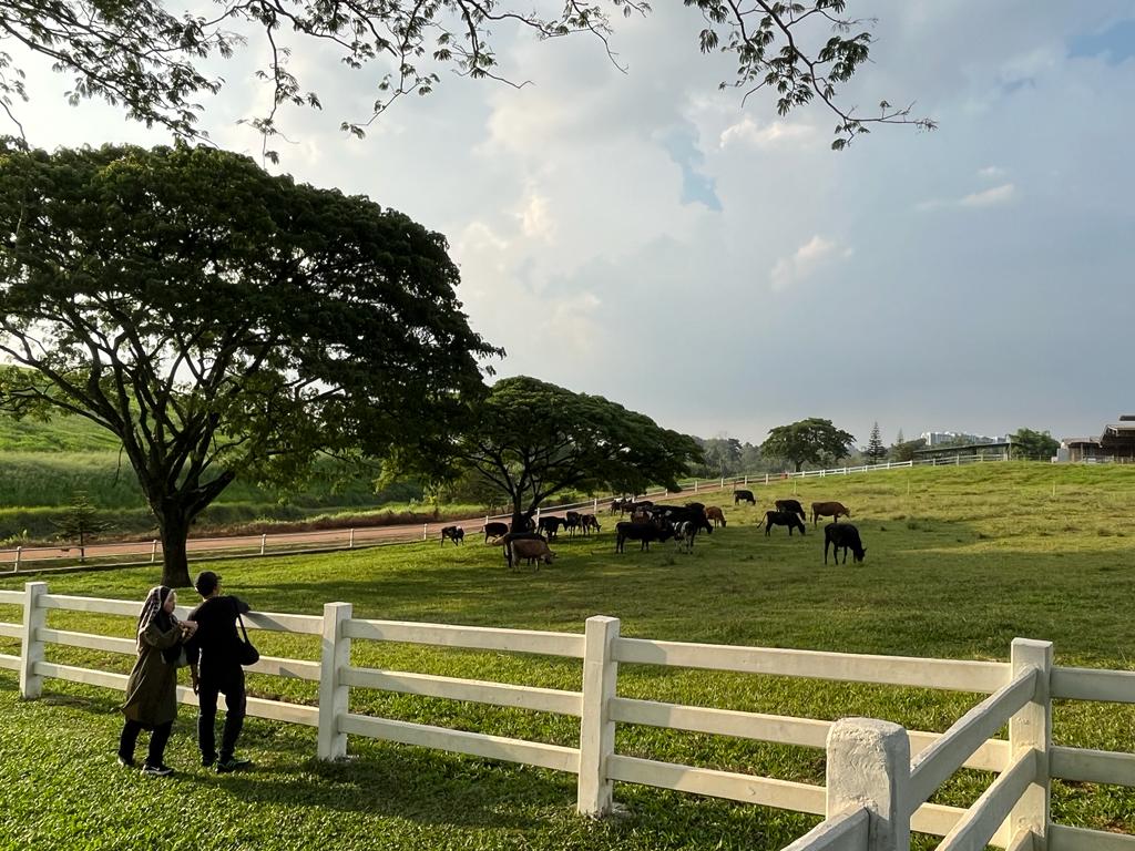 Farm Fresh Ticket At UPM, Seri Kembangan in Selangor