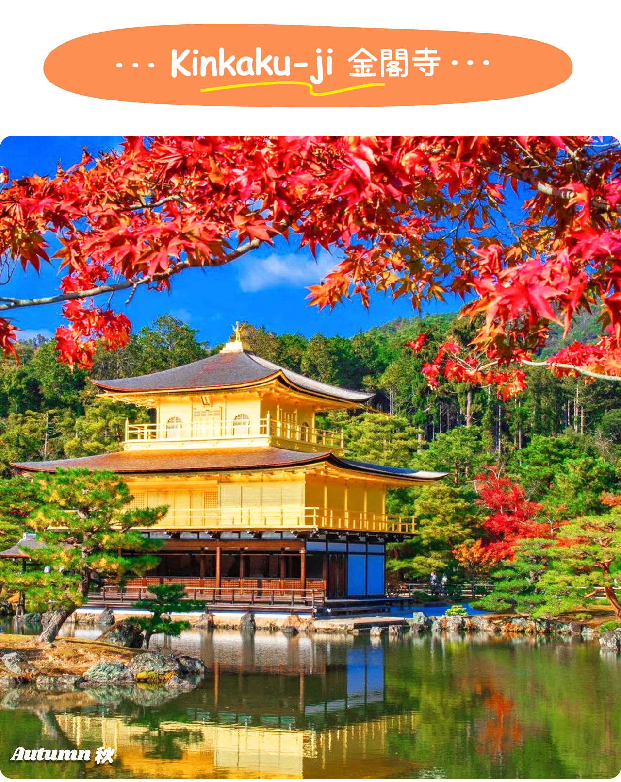 Kinkaku-ji Temple, with its dazzling gold-leaf exterior reflected in the pond, is one of Kyoto's most iconic World Heritage sites ✨