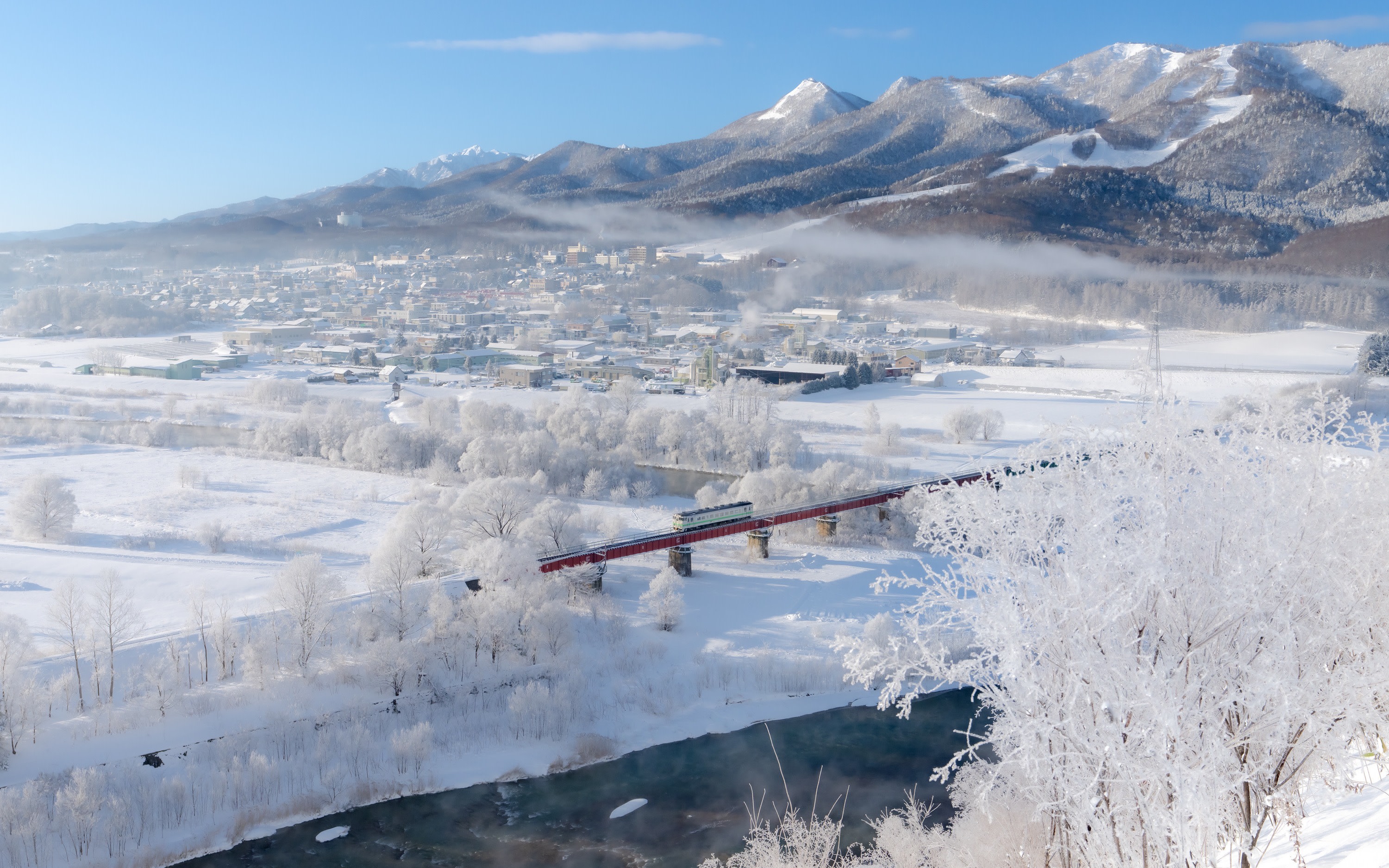 Sapporo Furano & Blue Pond Full-Day Winter Experience with Local Train