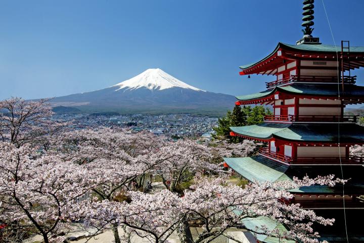 【穆斯林友好|富士山一日遊】新倉山淺間公園+富士天梯小鎮+穆斯林午餐+河口湖+網紅羅森便利店（東京出發）