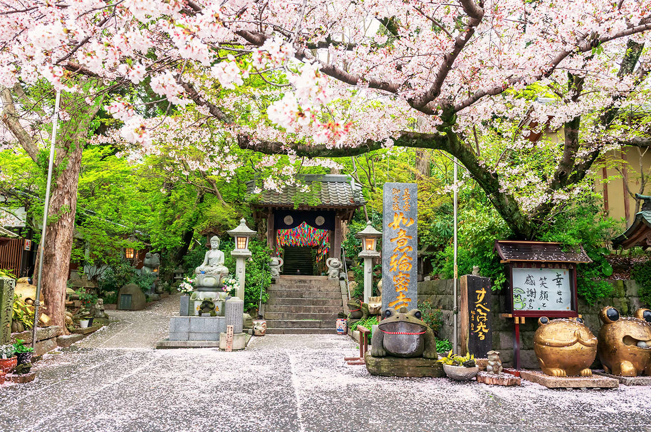 Kyushu: Dazaifu, Nyoirinji Temple, Yufuin, and Yufuin Forest Scenic Train Day Tour (Depart from Fukuoka)