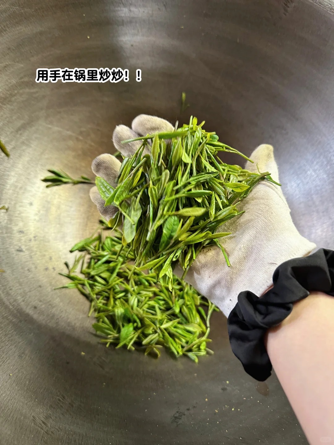 杭州西湖文化村休閒半日遊（龍井茶茶葉採摘+炒制殺青+宋代點茶夢華錄/莊園品茶半日休閒體驗）