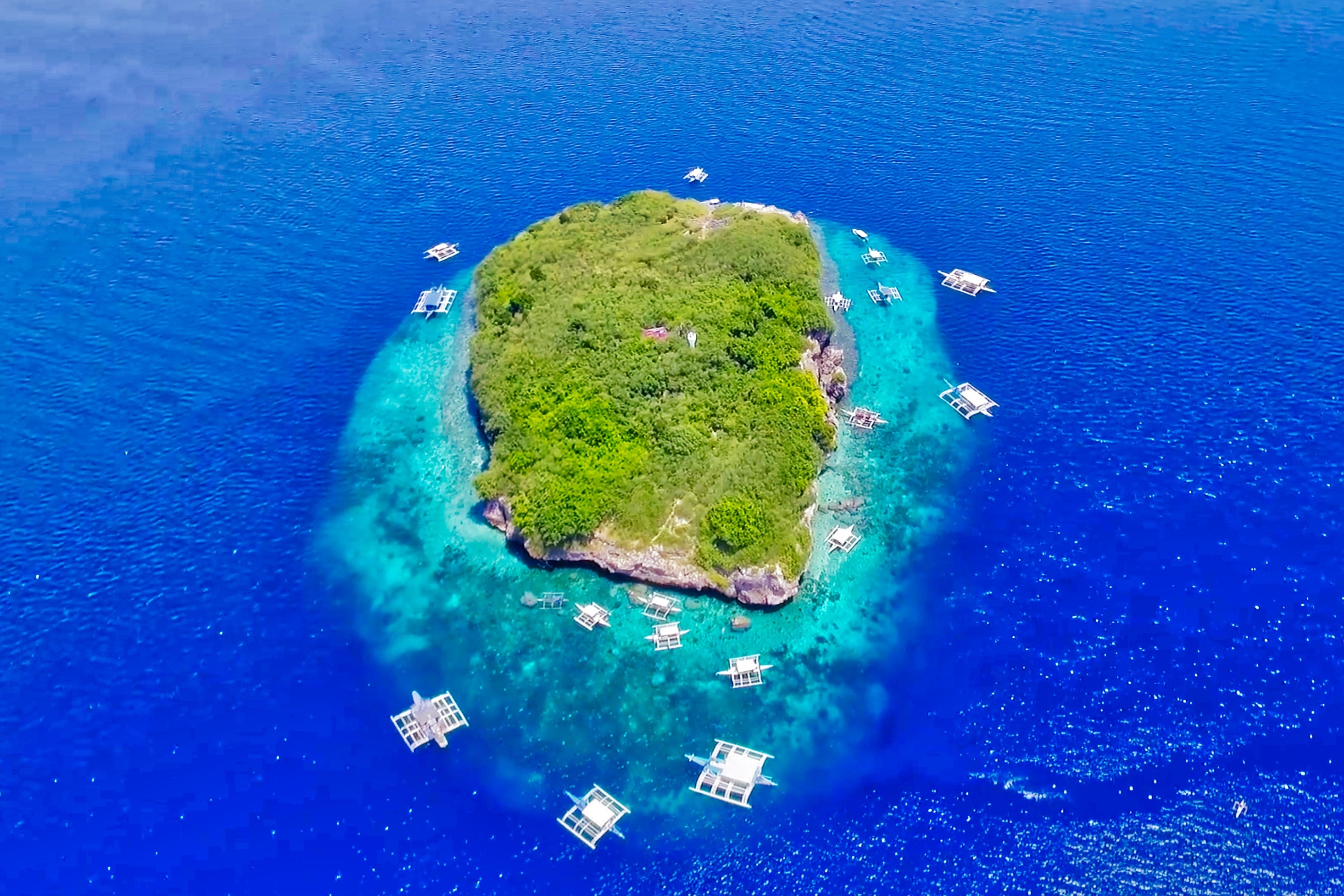 宿霧沙丁魚風暴潛水＆佩斯卡多爾島浮潛之旅