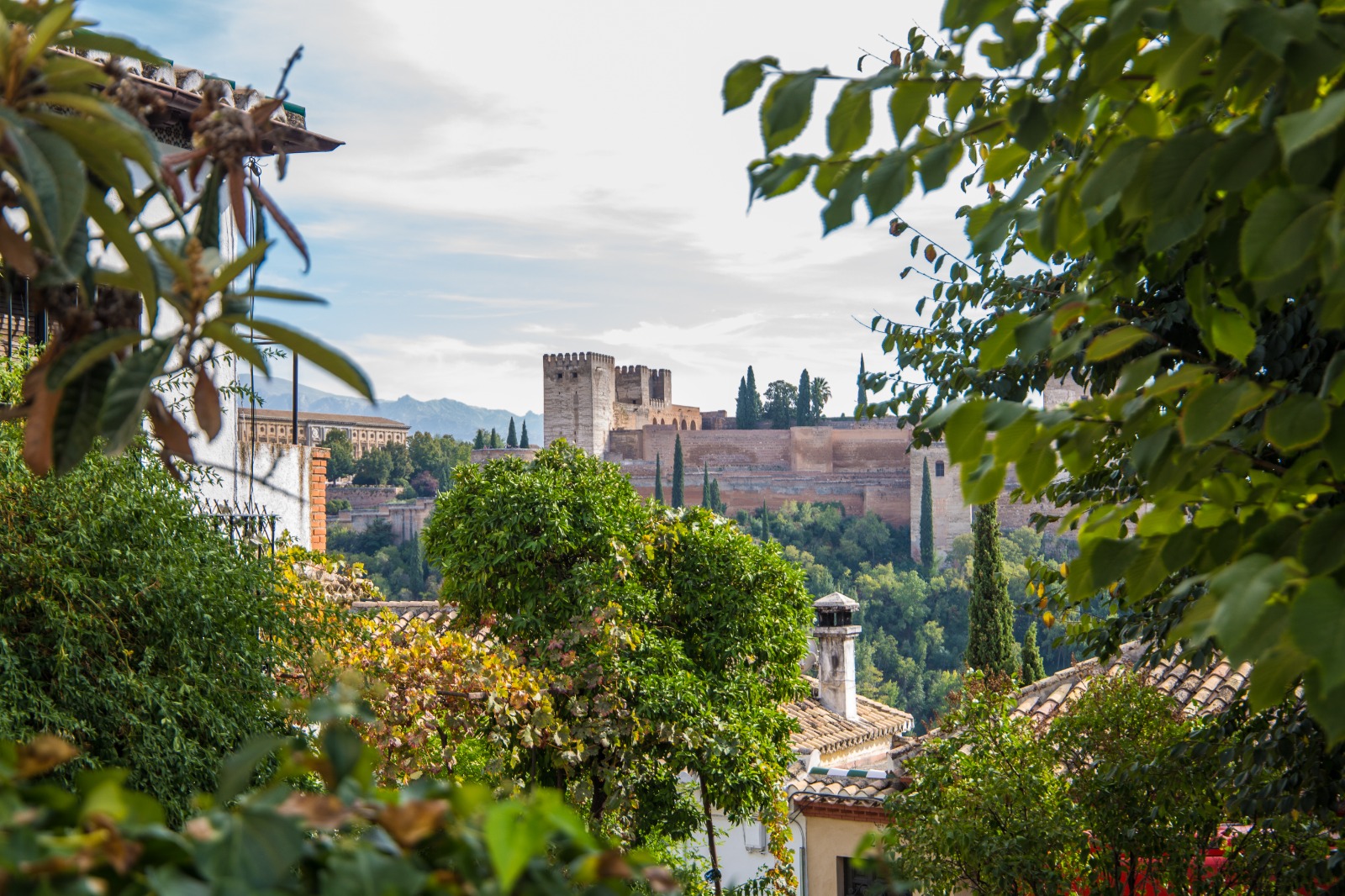 從塞維亞出發的阿爾罕布拉宮 (Alhambra) 私人一日遊
