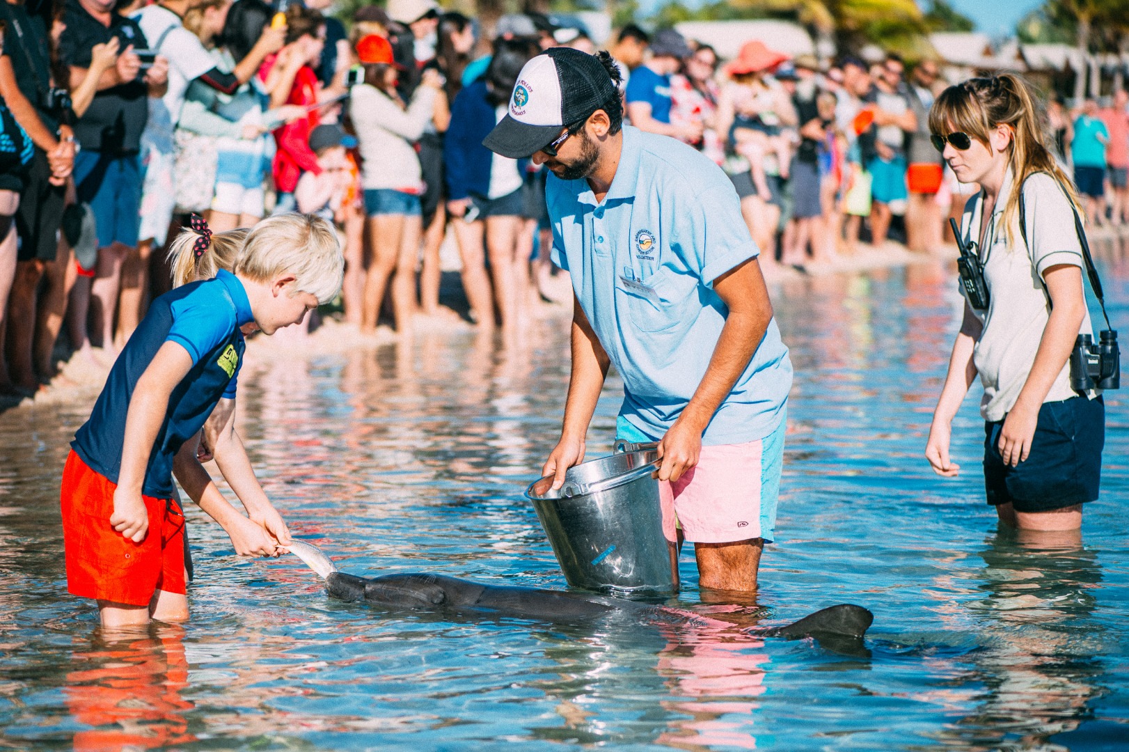 Monkey Mia Dolphin Spectacular Half Day Tour from Geraldton