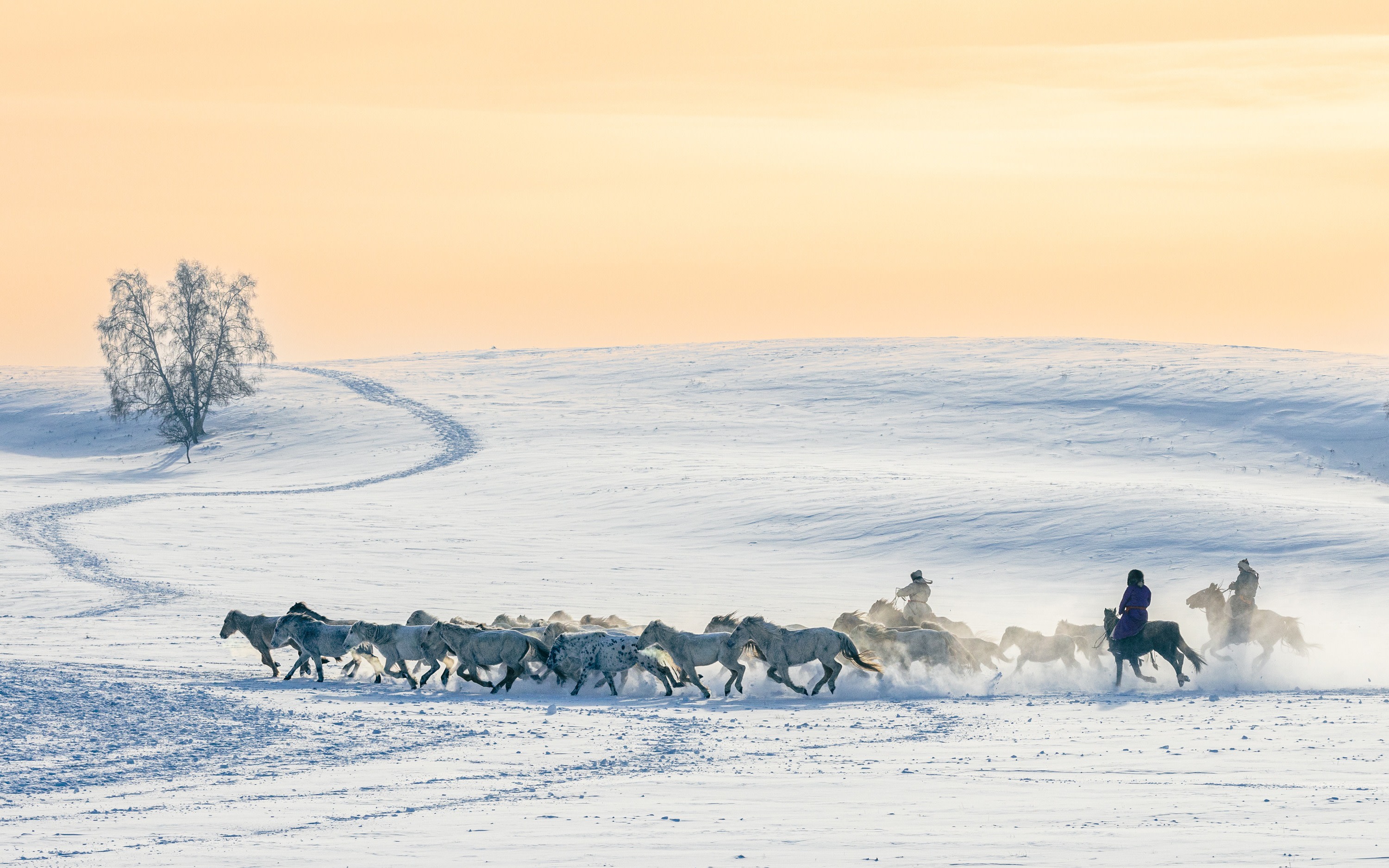 Experience the Winter Ice and Snow Carnival in Ulan Butong, 5 Days (Departure from Beijing + Yunfo Mountain Skiing)