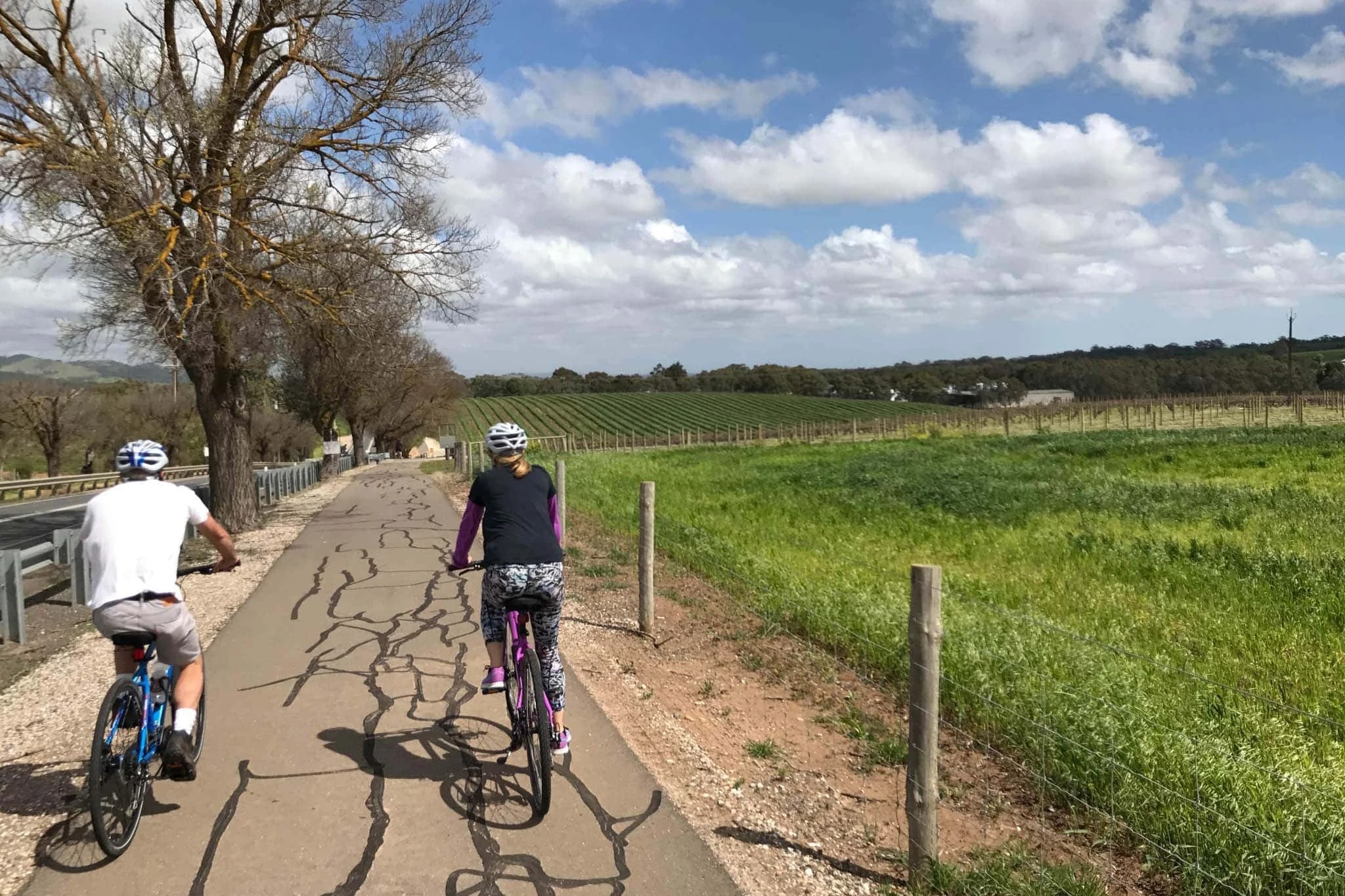 克萊爾 & 芭蘿莎鐵路小徑自行車騎行之旅
