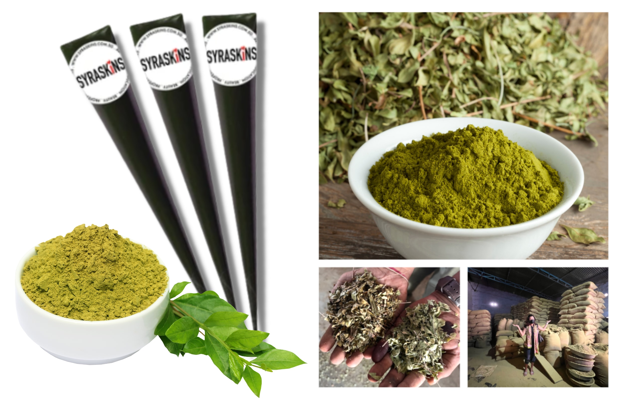 沉浸於豐富的海娜文化遺產及其文化故事中 沉浸於豐富的海娜文化遺產及其文化故事中