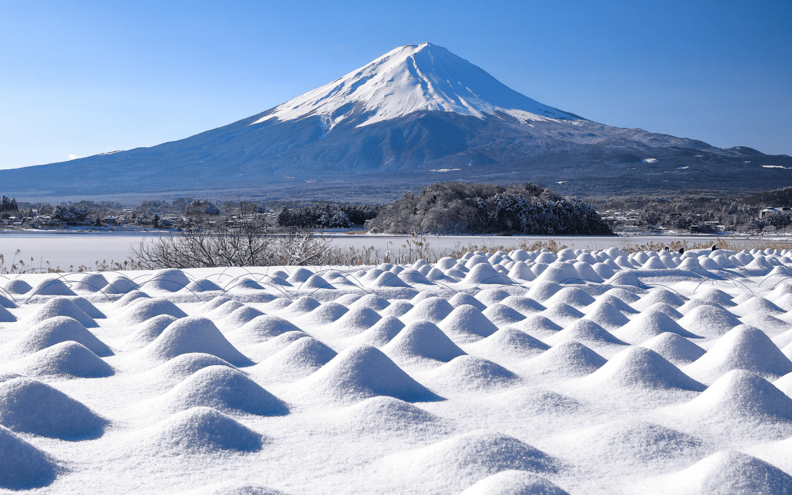 Mount Fuji Oishi Park/ Oshino Hakkai/ Little Edo Kawagoe/ Arakura Fuji Sengen Shrine/ Lake Yamanaka Swan Boat/ Fuji-Q Highland Konoha Ninja Village (Departure from Shinjuku)
