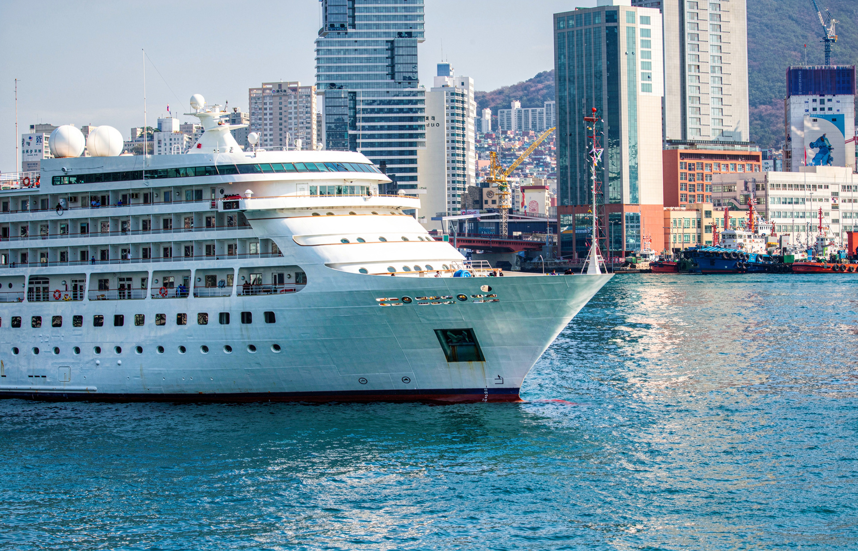 Busan Shore Excursion: Highlights & Street Food for Cruise Guests