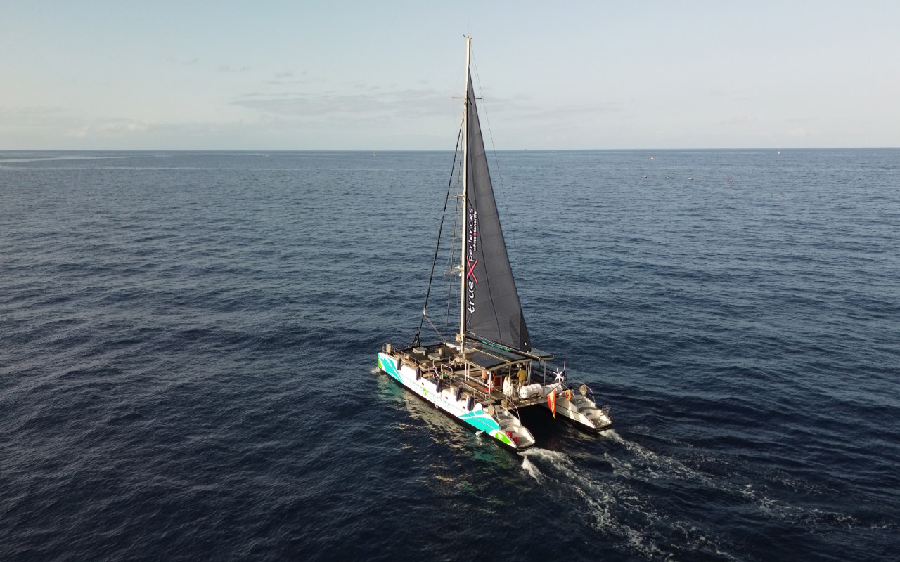 Опыт наблюдения и прослушивания китов и дельфинов в Коста-Адехе