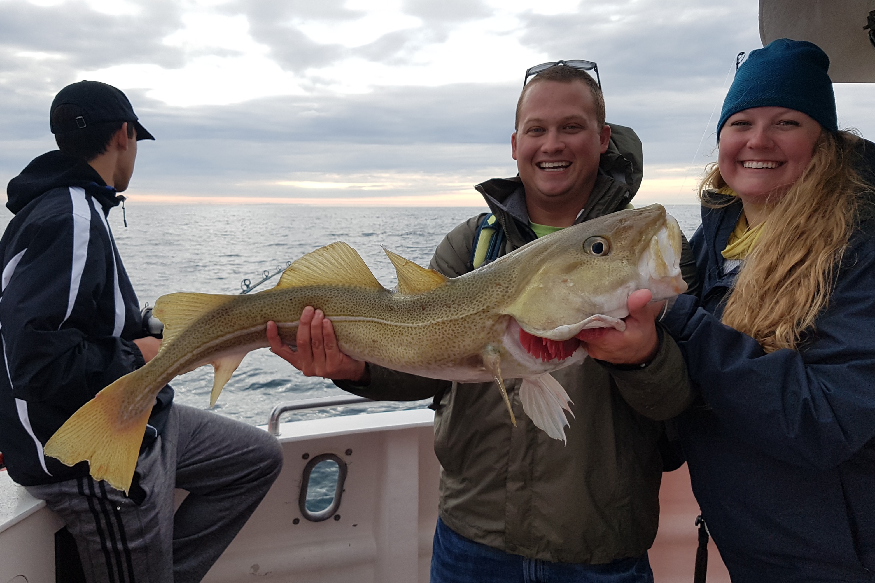 Reykjavik Faxaflói Bay 2.5-Hour Small Group Fishing Tour