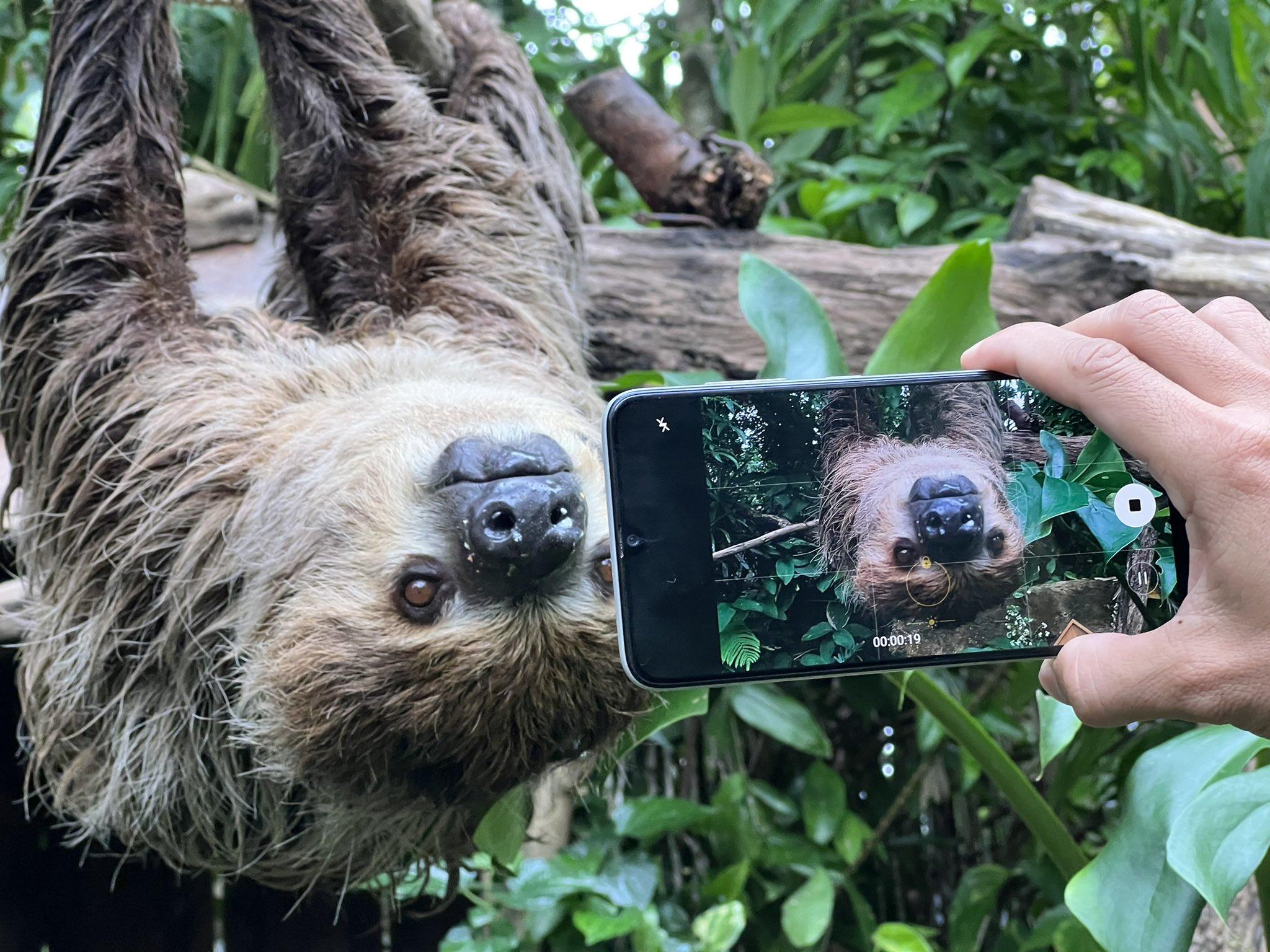 Khao Kheow開放式動物園私人之旅