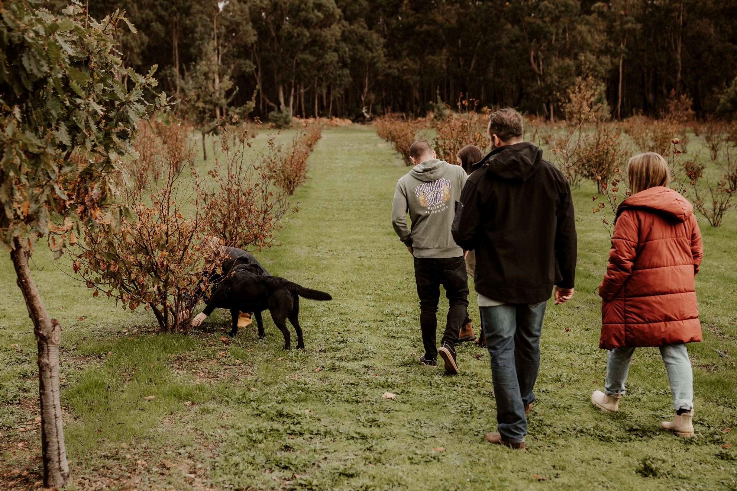 探索瑪格麗特河松露之旅 (Dig Deep - Margaret River Truffle Hunt Experience)