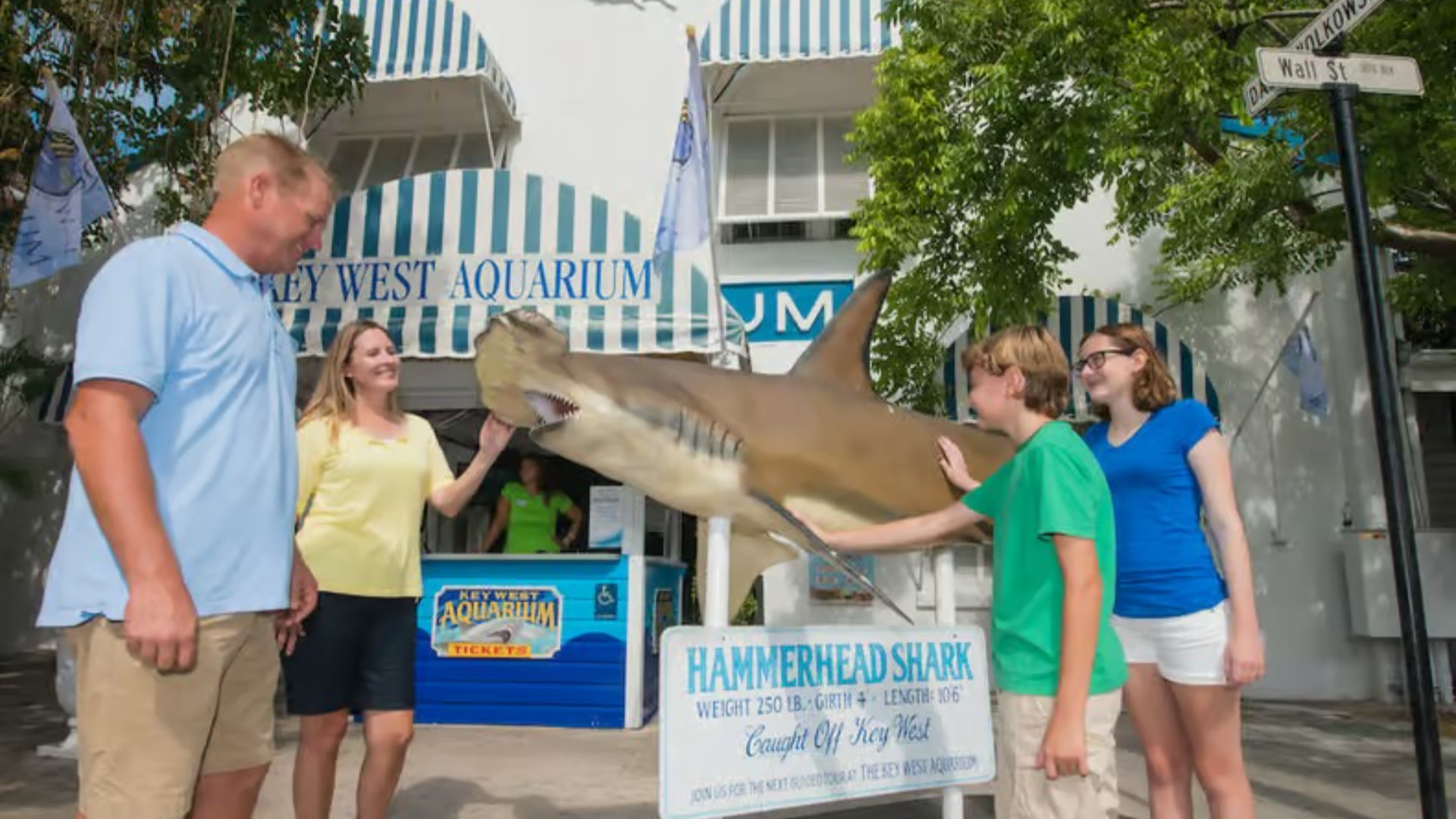 Key West Aquarium Admission in Key West 5