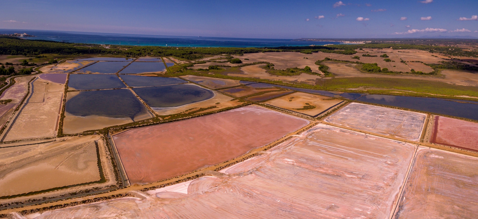 From Palma de Mallorca: Private Tour to Es Trenc & Santanyi