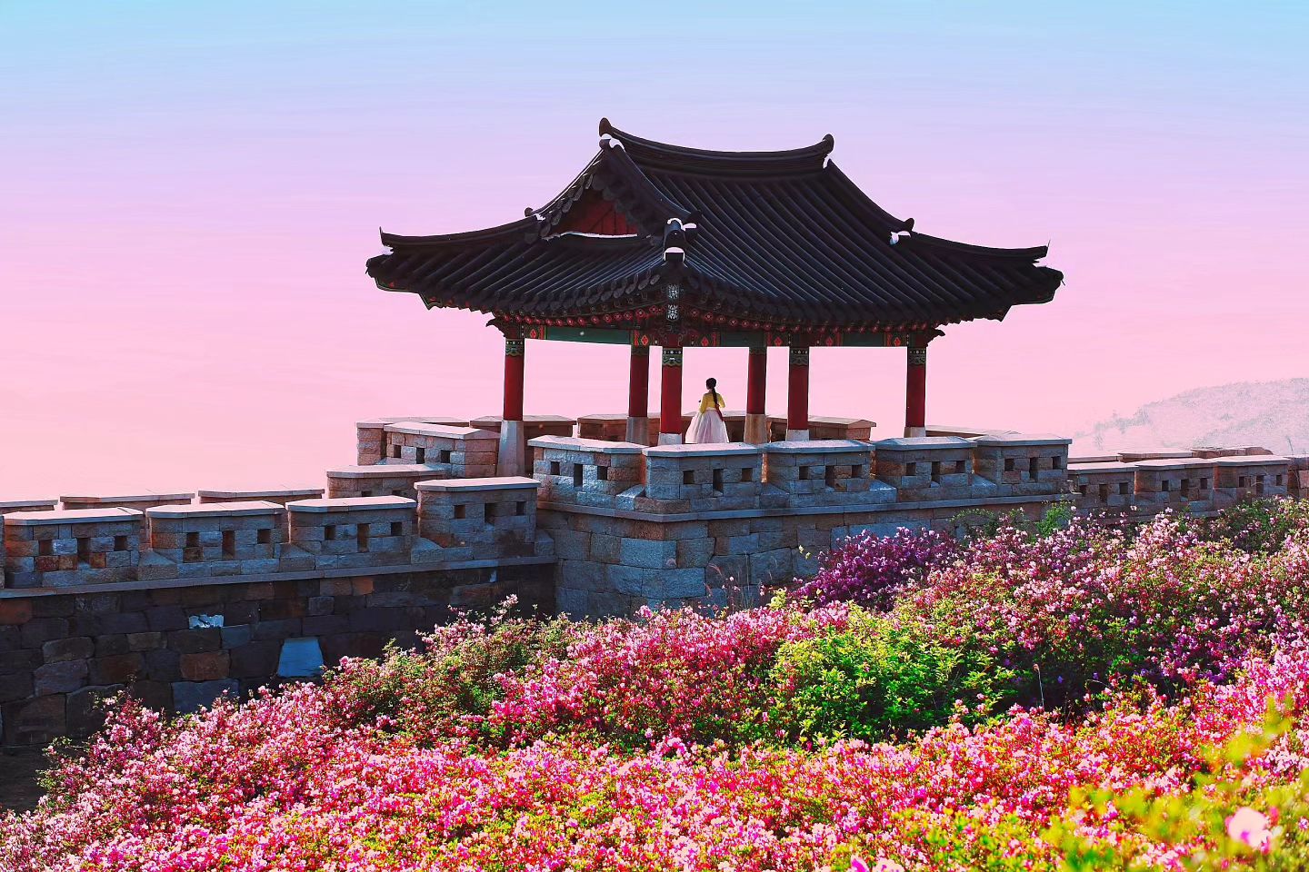[Spring Season] Hwangmaesan Azalea One Day Tour from Busan