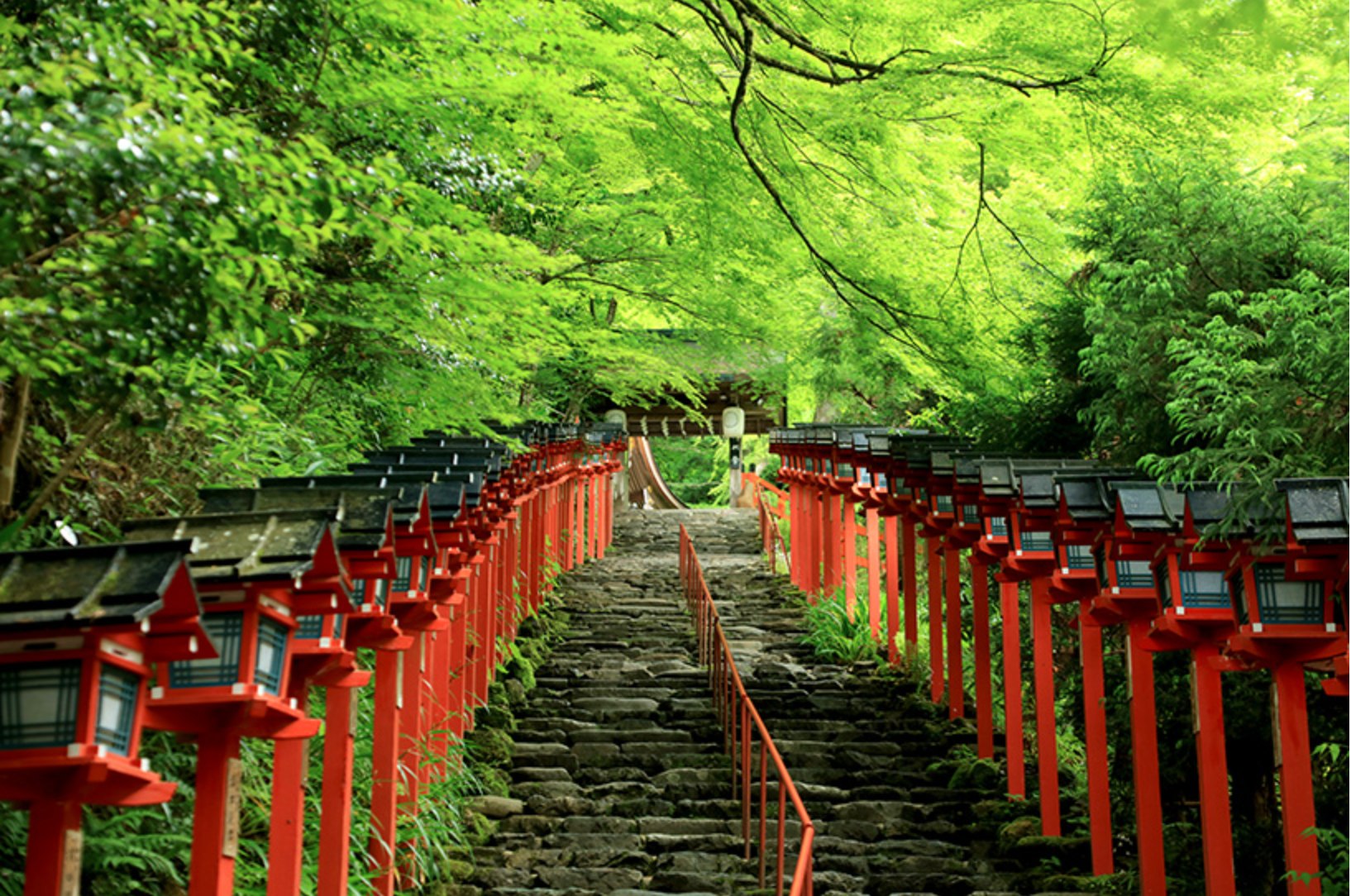 【大阪出發｜京都奈良經典＆山區秘境小團】伏見稻荷・奈良公園 or 嵐山・三千院・貴船神社 雙方案可選