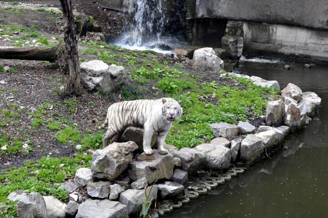 上海動物園