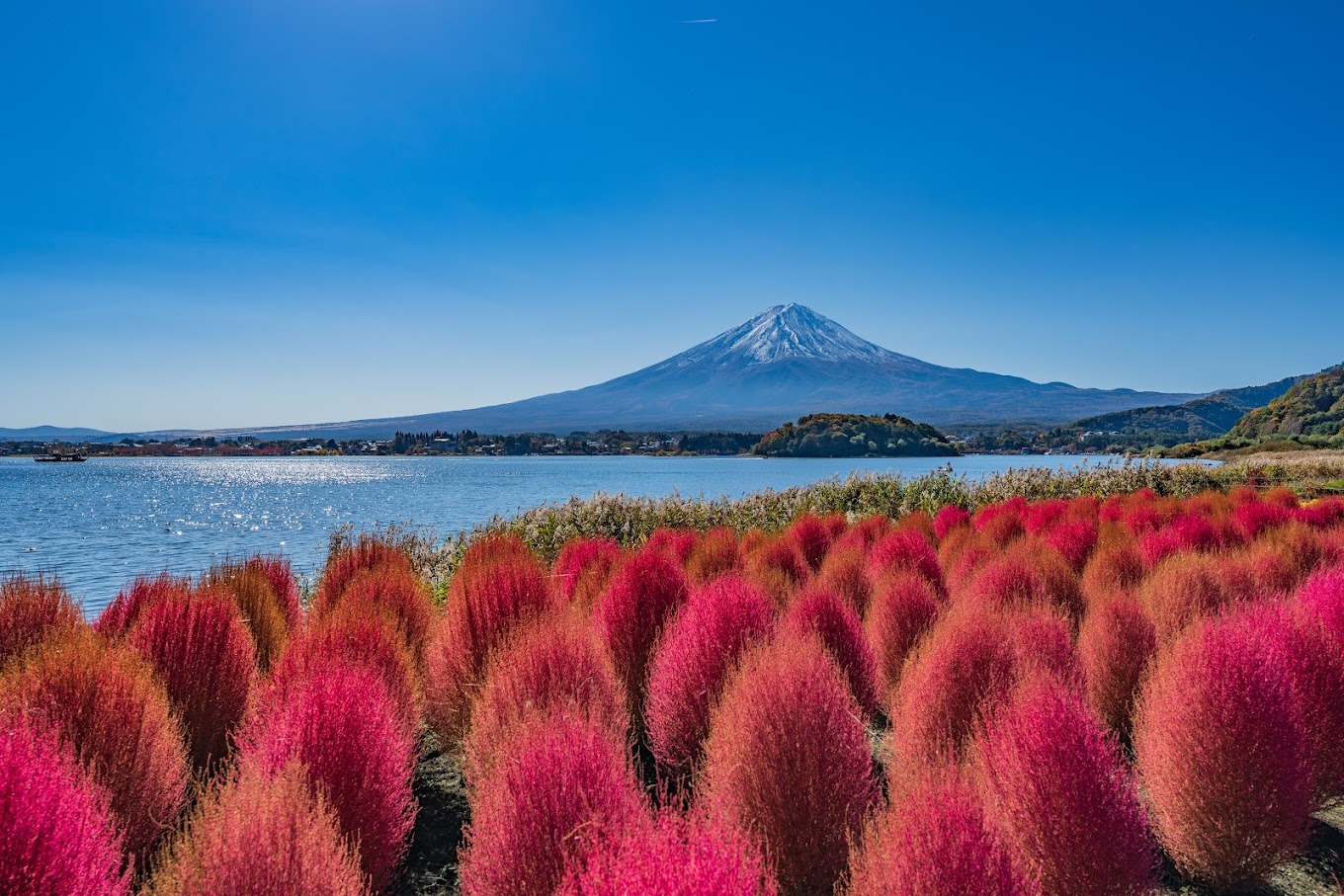 富士山壯麗美景一日遊（東京出發）