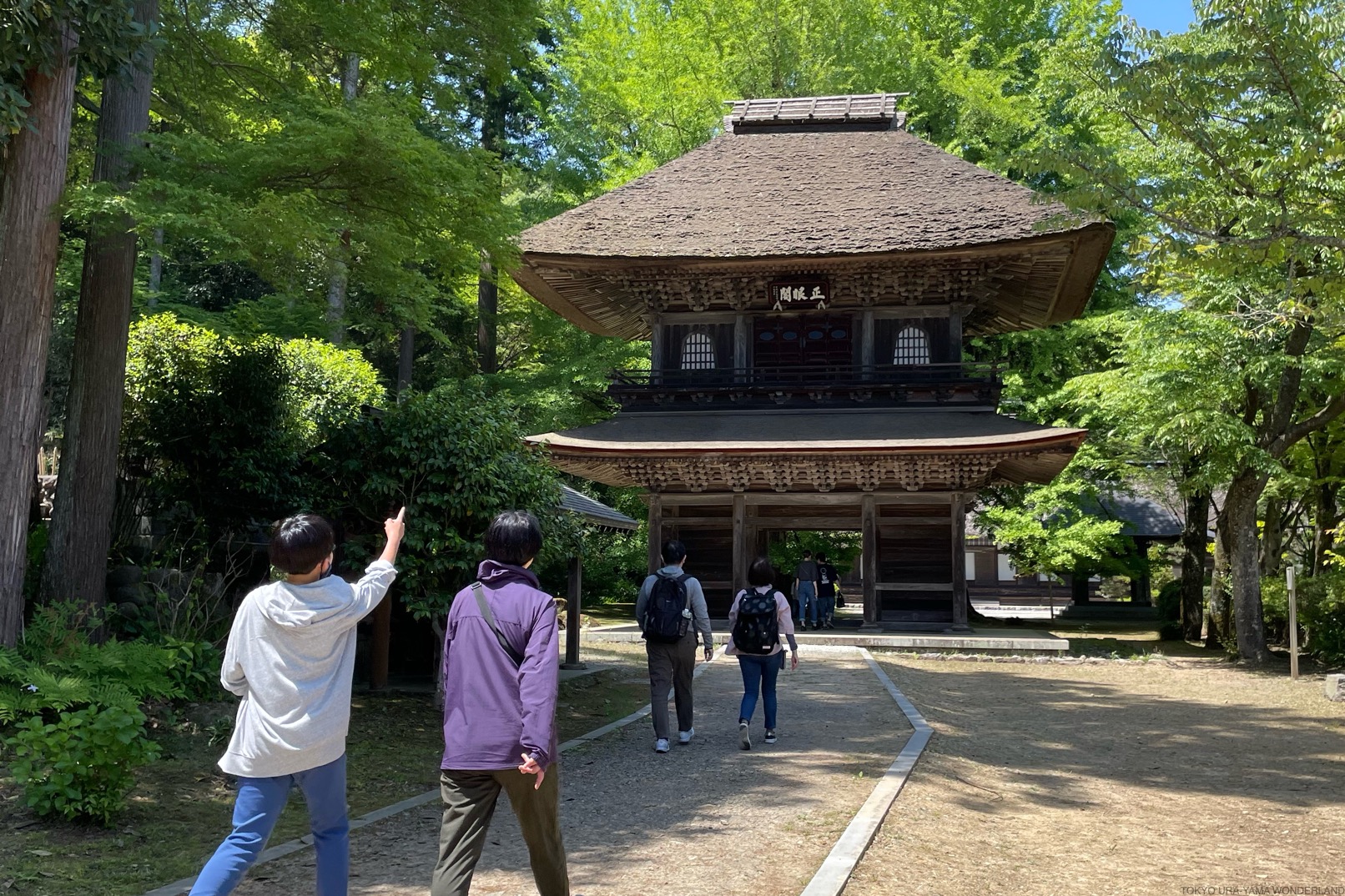 東京：騎行和溪降探險