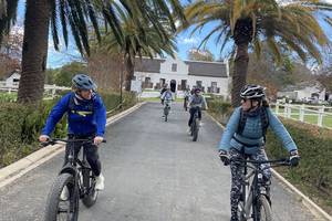 Vineyard & Mountain E-Bike Tour