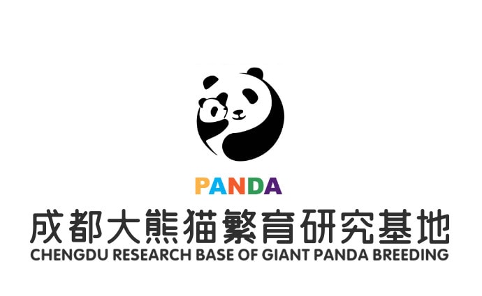 Only go to the largest and most authoritative [Chengdu Giant Panda Breeding Research Base]