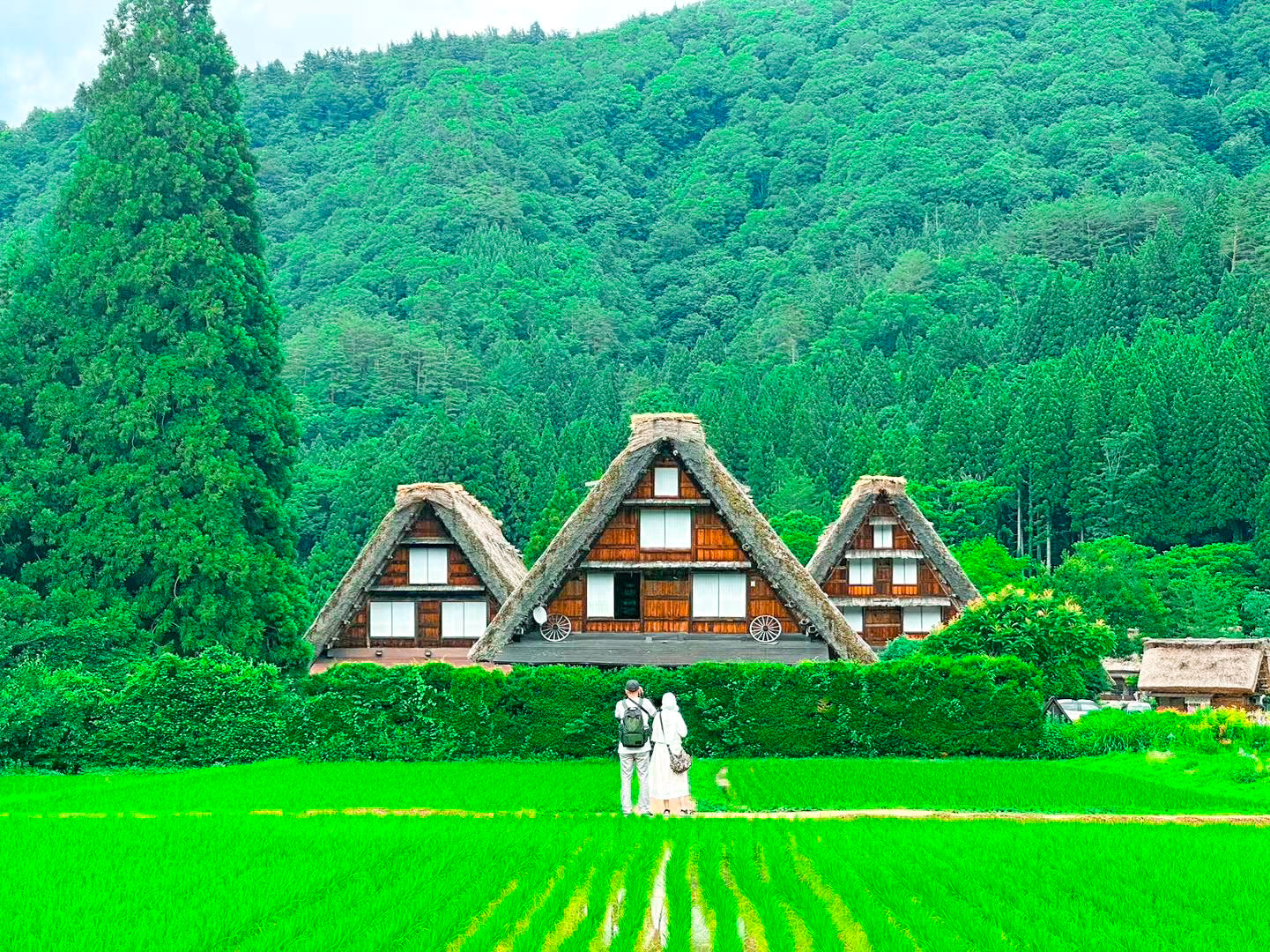 世界遺産「白川郷」と飛騨高山を巡る日帰りツアー (名古屋発)