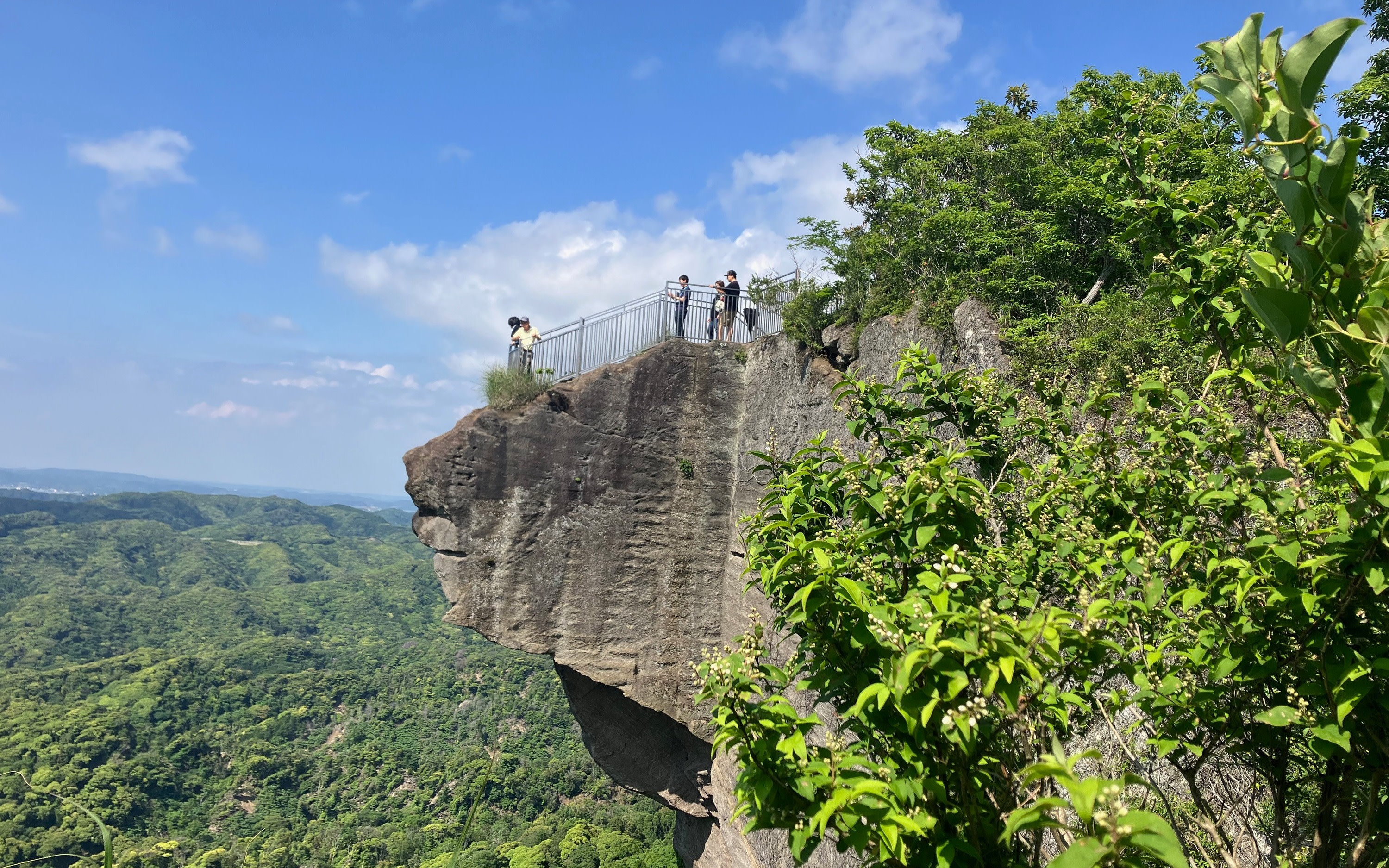 Mt. Nokogiri Half-Day Guided Hiking Tour with Seafood BBQ