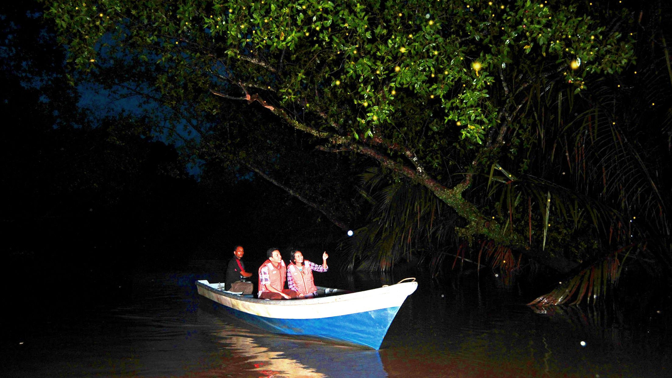 Be enchanted with the magical glow of fireflies while cruising the Loay river.