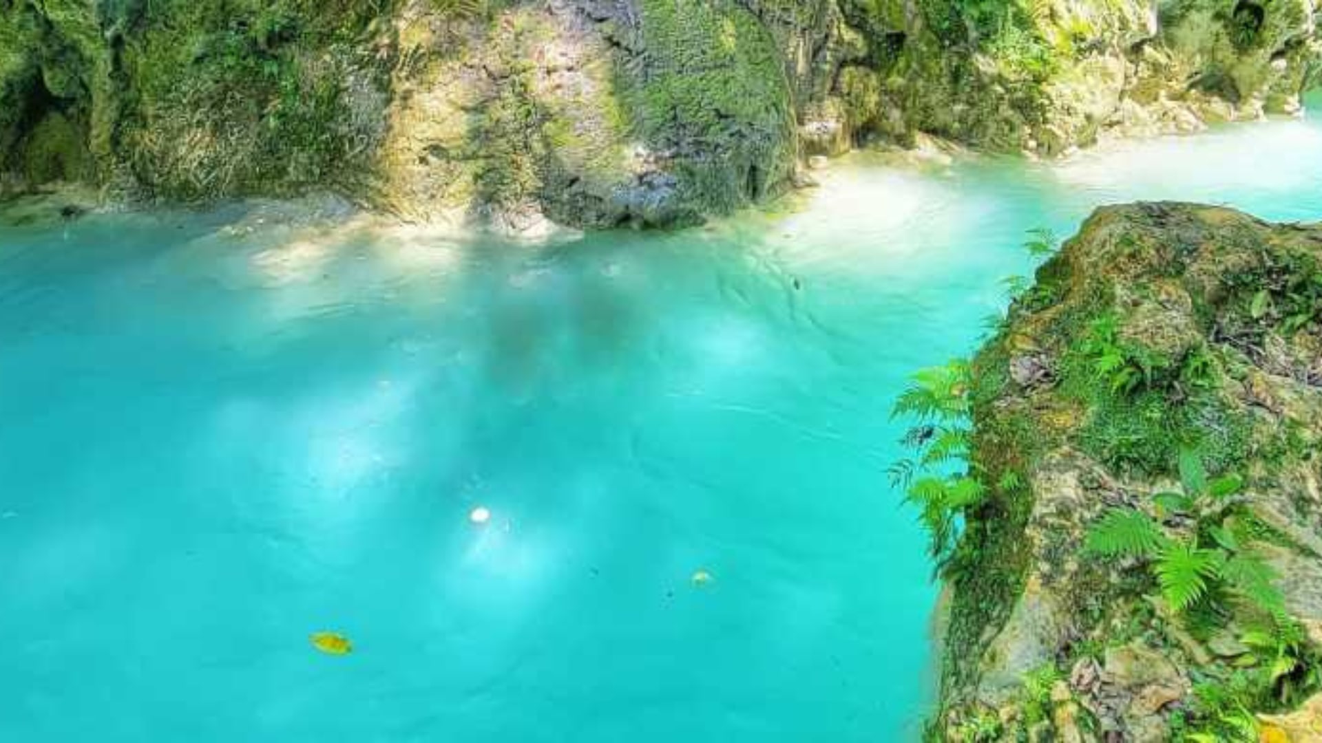 6 Hour Rio Partido's Secret River Trail with Lunch