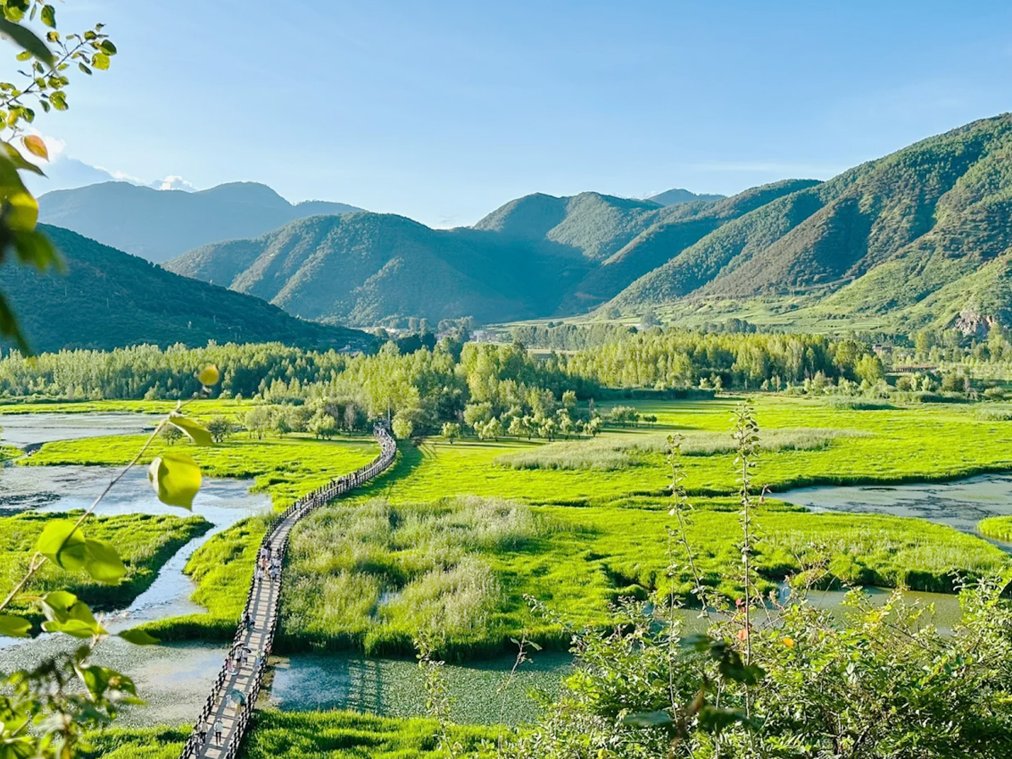 The Walking Marriage Bridge is the only bridge on Lugu Lake. Due to silt accumulation over the years, the water depth has decreased, and dense reeds have grown beneath the bridge. From a distance, it resembles a sea of grass, so the locals call it…