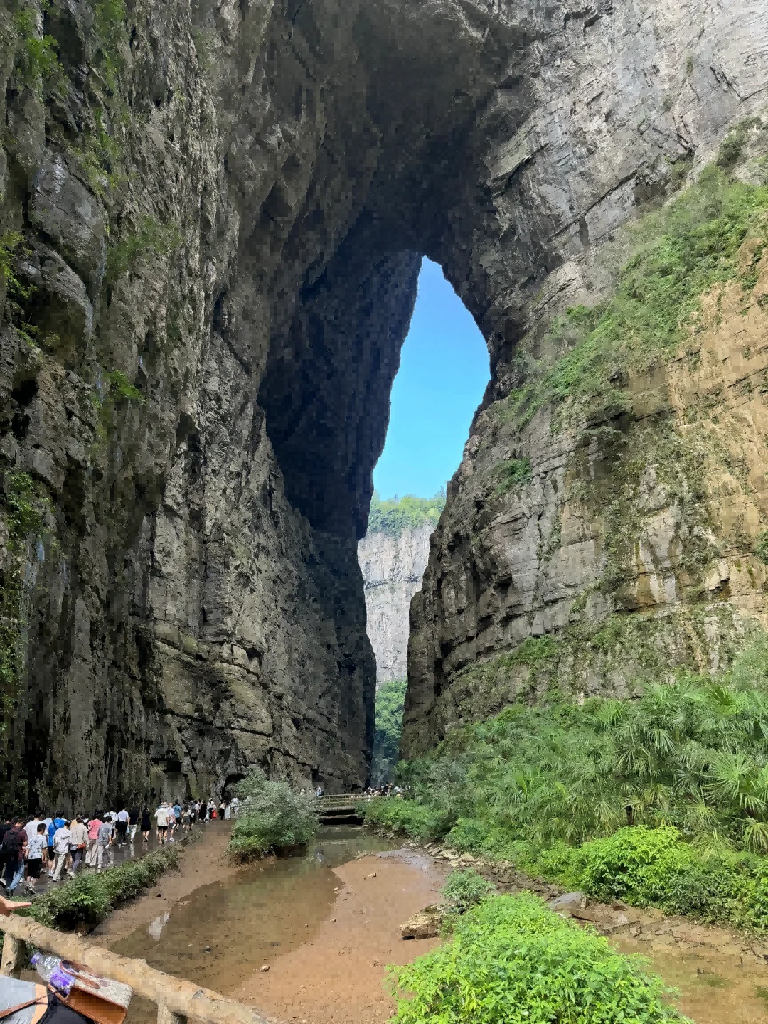 重慶5日遊2-8人小團（解放碑+洪崖洞+李子壩+烏江畫廊+武隆天生三橋）