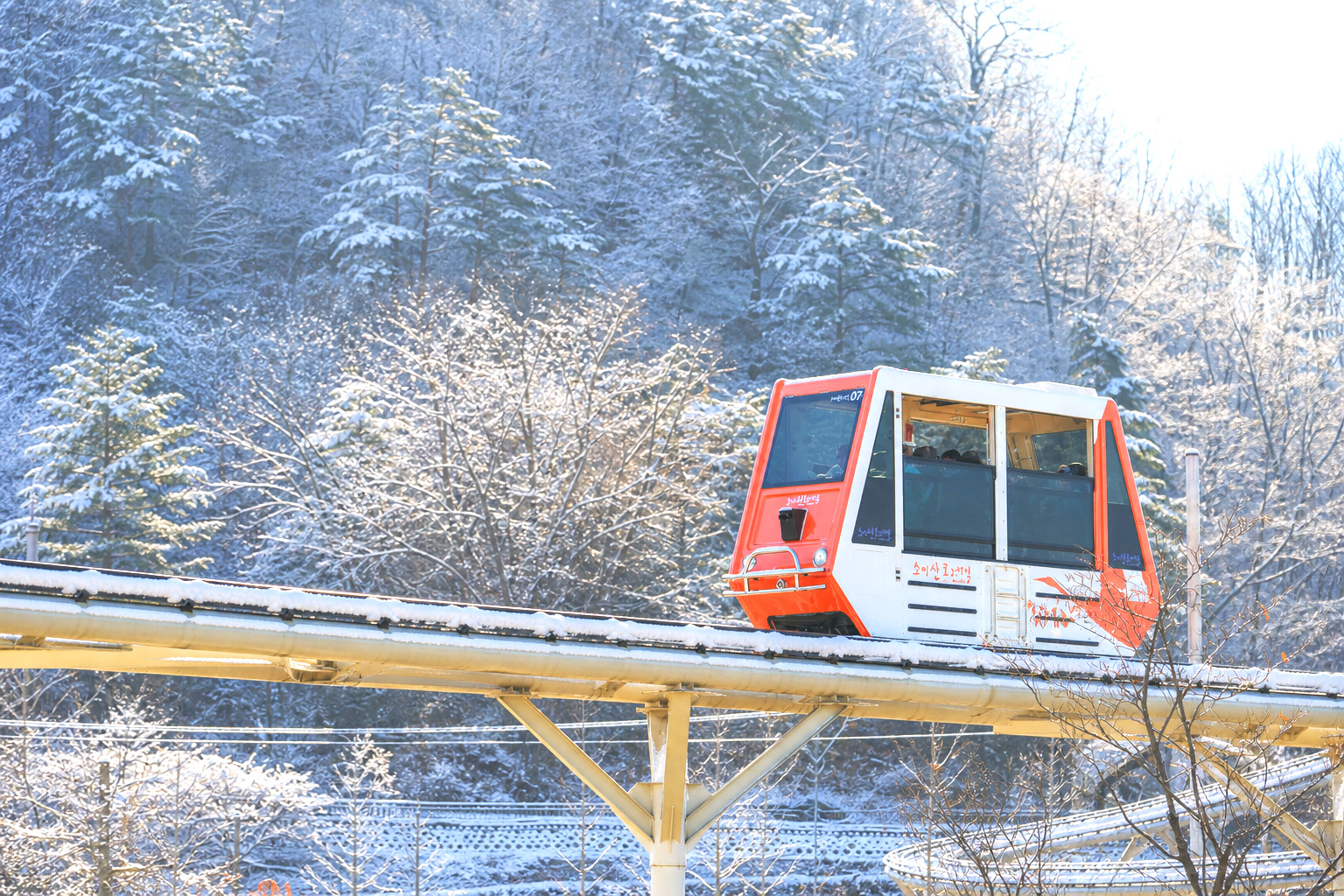 🚋 冬季搭乘宗山單軌列車,彷彿滑翔於白雪皚皚的森林之中。白雪覆蓋的樹木與寧靜的山坡,共同勾勒出一幅寧靜而夢幻的童話美景。 🚋 冬季搭乘宗山單軌列車,彷彿滑翔於白雪皚皚的森林之中。白雪覆蓋的樹木與寧靜的山坡,共同勾勒出一幅寧靜而夢幻的童話美景。